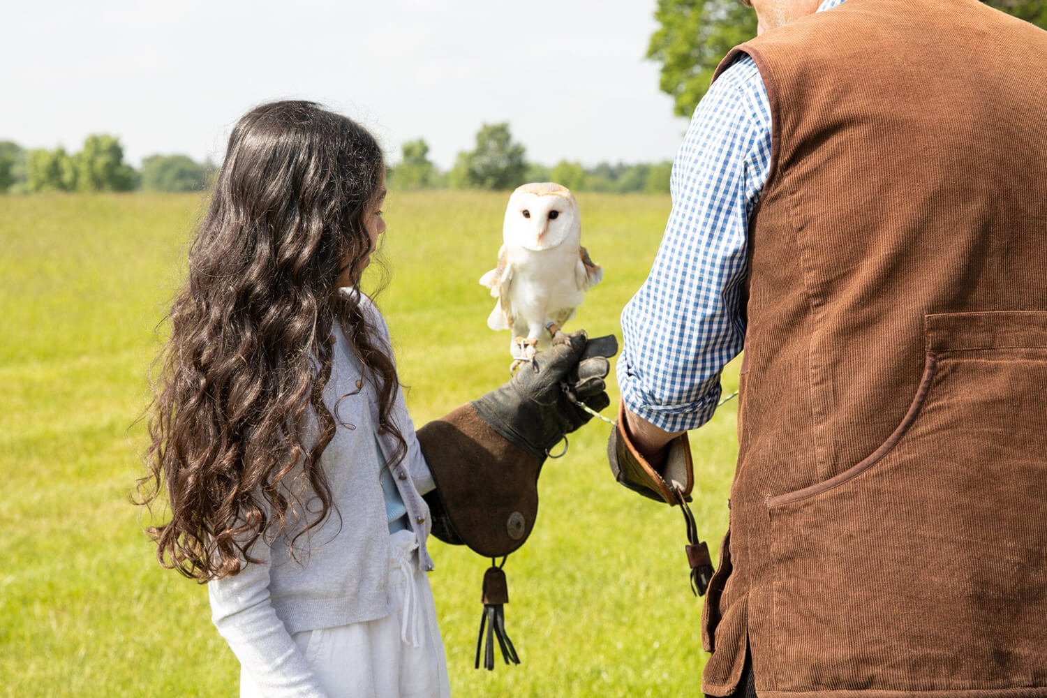 Woodland Hawking Childrens Activities summer the grove hotel Watford hertfordshire 