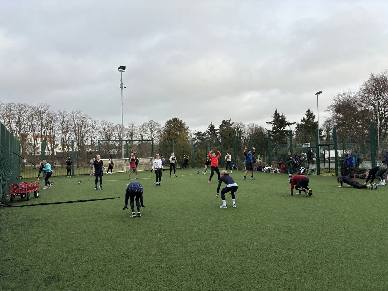 Tom Doe Camp Green Rothamsted park harpenden hertfordshire