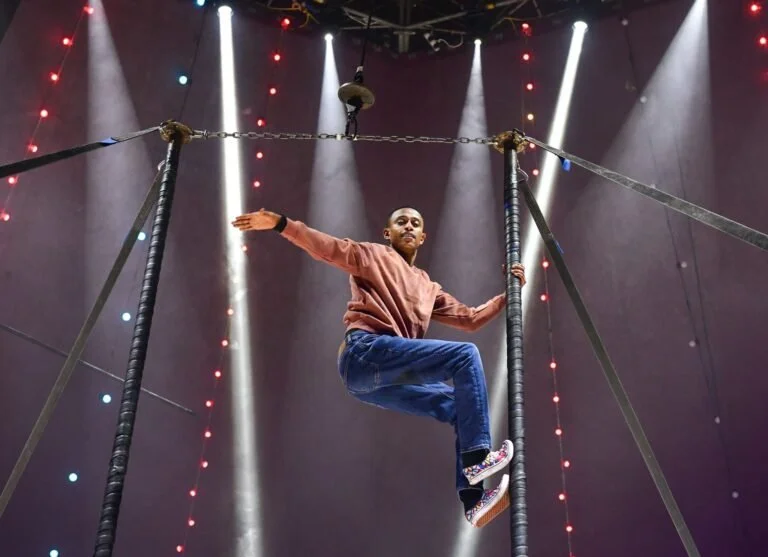 circus zyair harpenden hertfordshire 