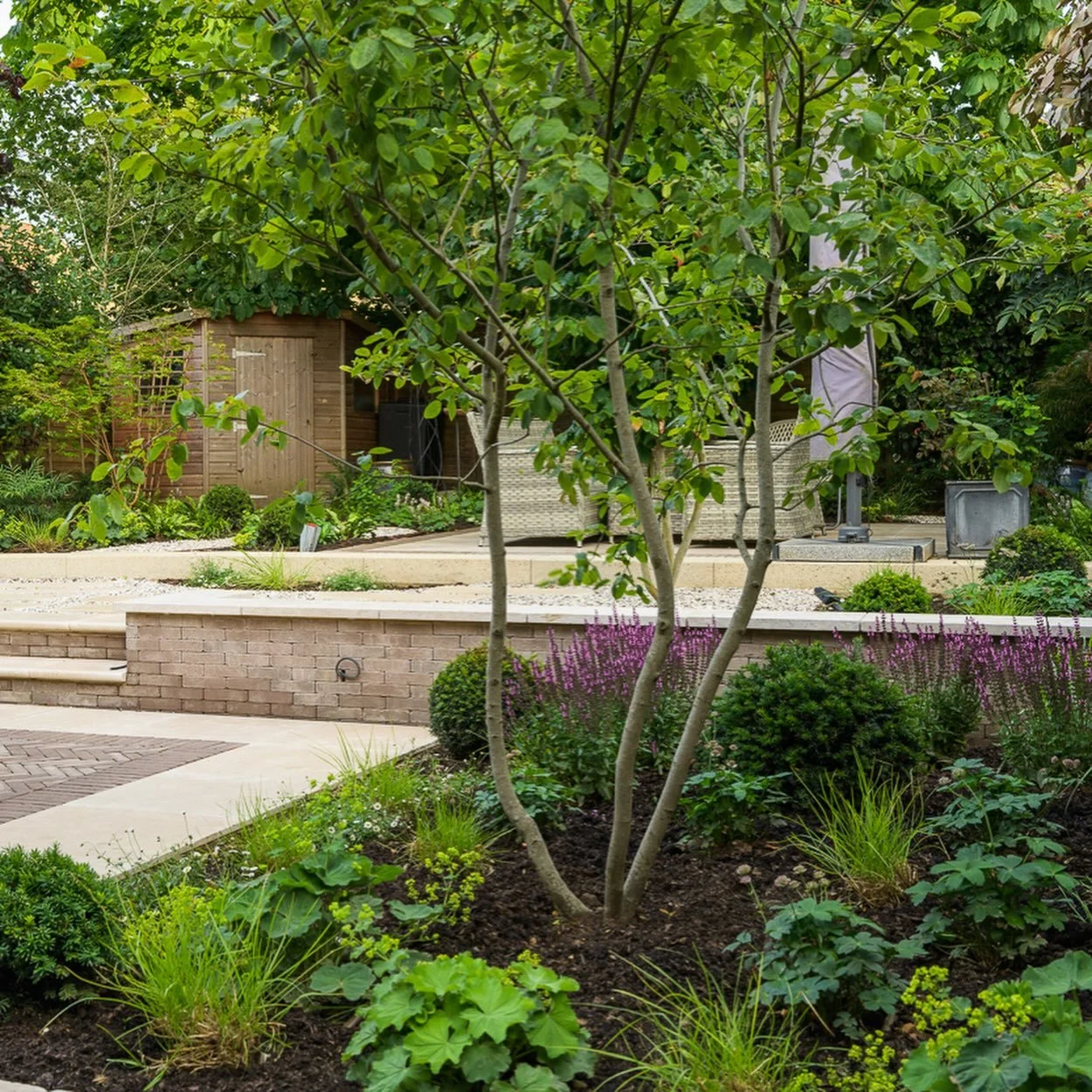A newly completed Harpenden garden by member @julia_langsman, designed to grow more beautiful with each season.
🪴
Spaces for entertaining are balanced with layered planting to create depth, texture and year-round interest. The dining terrace forms t