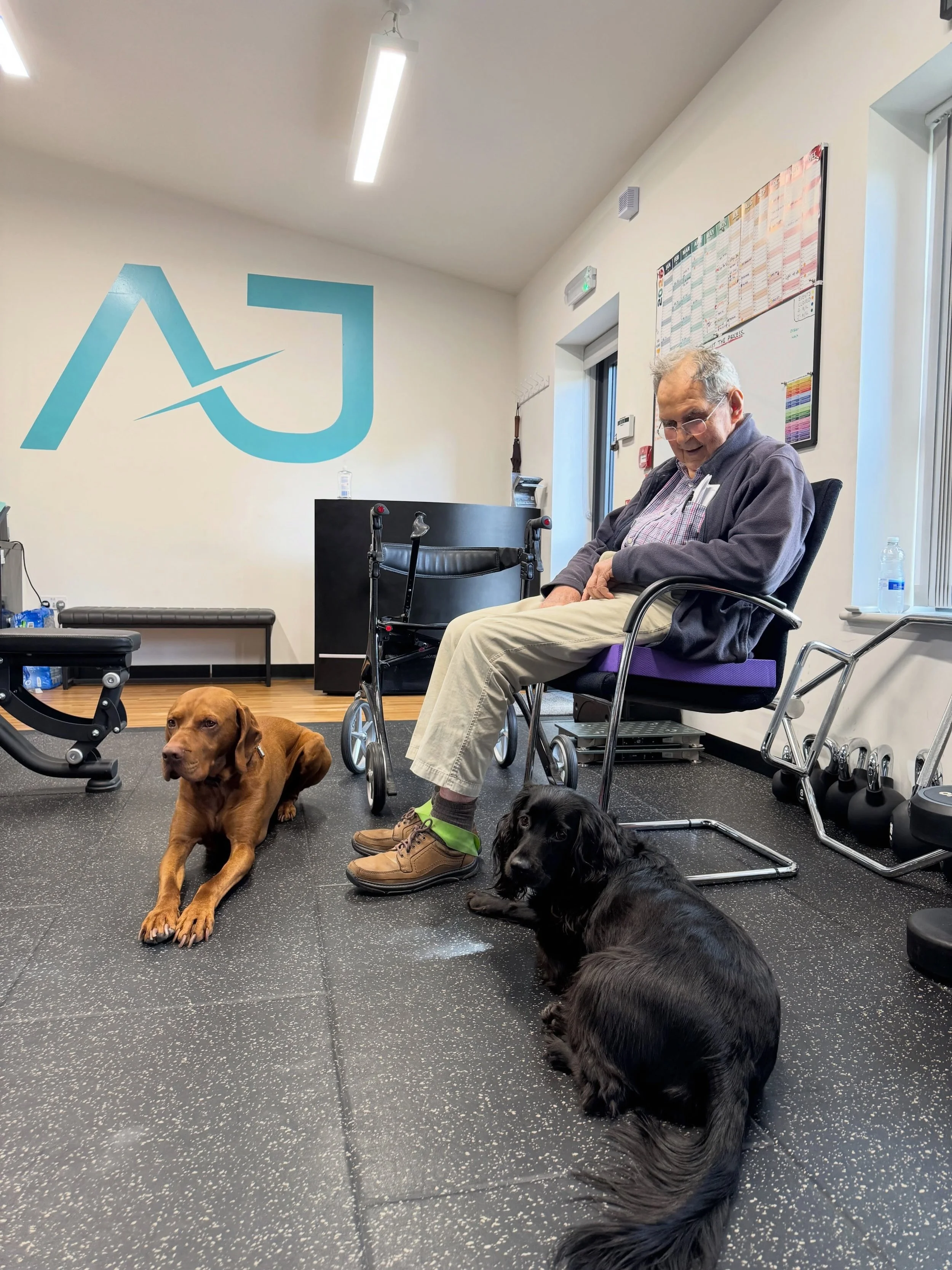 Weekly rehab looks a little better with Tucker and Barney keeping our member @_ajphysio and their clients company!
🐾
Two of @_ajphysio patients enjoying their sessions, working on strength, balance, coordination and cardiovascular fitness. Each sess
