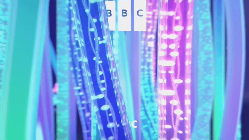 WEB-TWIN-ASSOCIATES-CBBC BRANDING-IDENT-FESTIVE-LIGHTS.gif