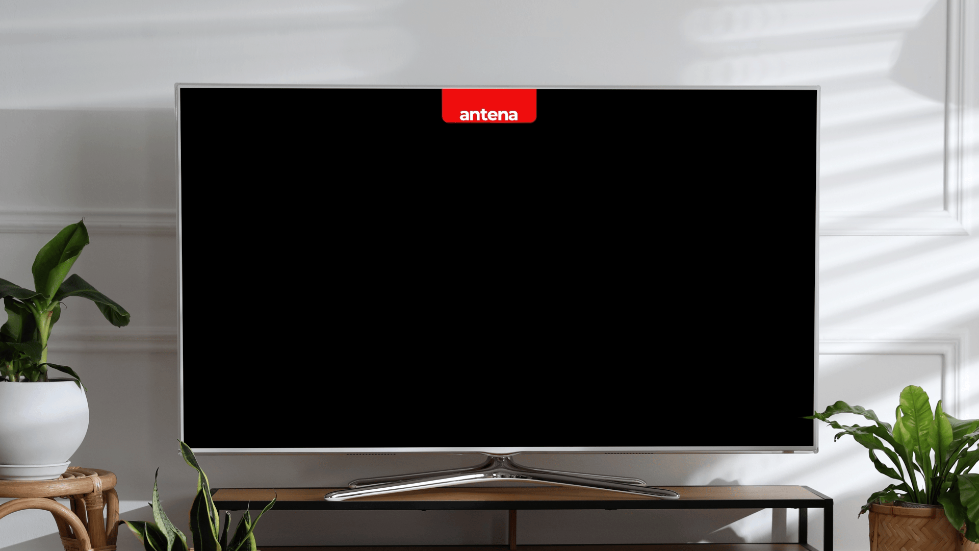 TWIN-Associstaes_Azi_TV.gif