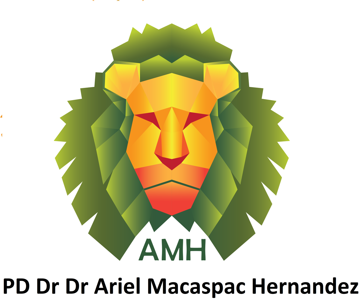 PD Dr Dr Ariel Macaspac Hernandez