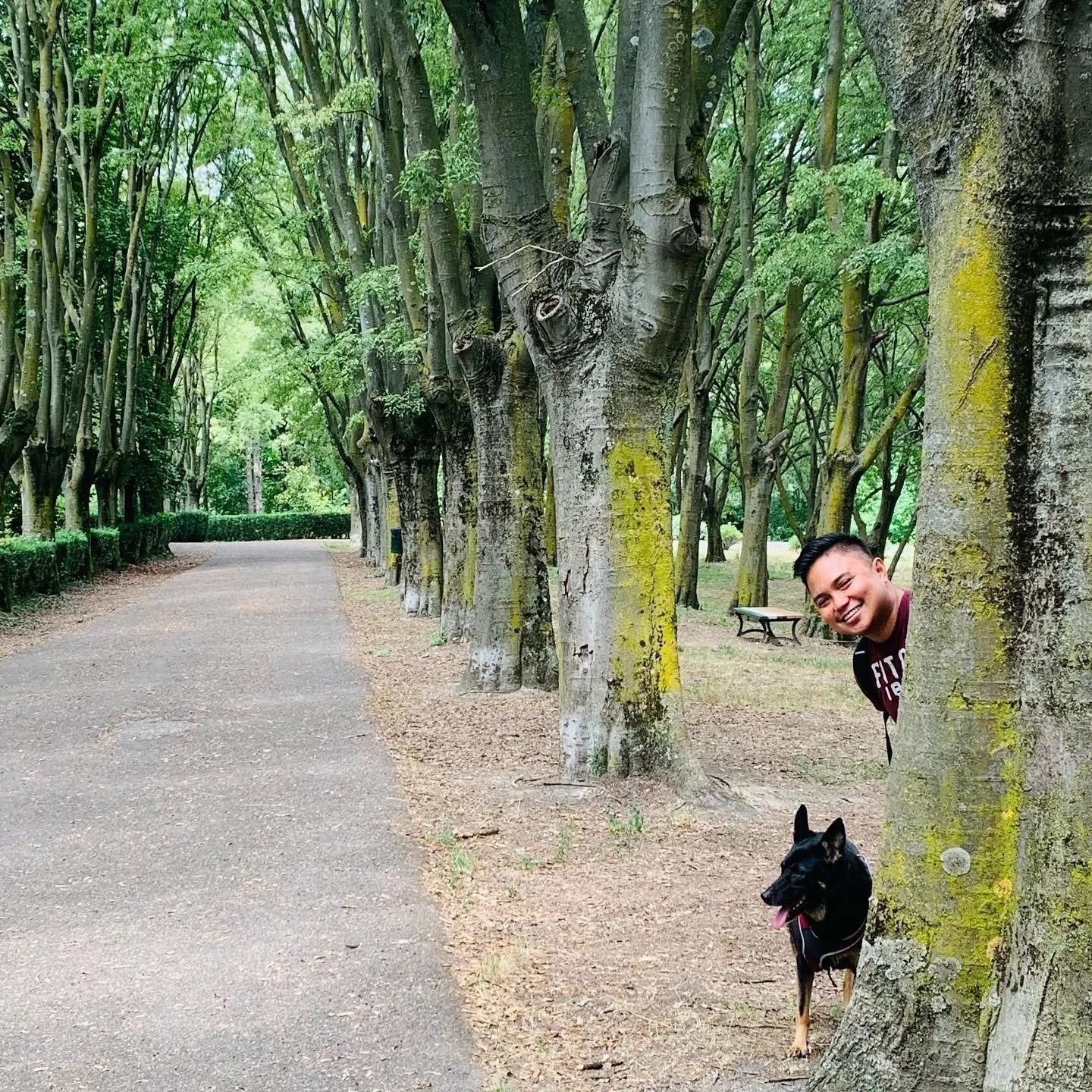 Trees that stay
