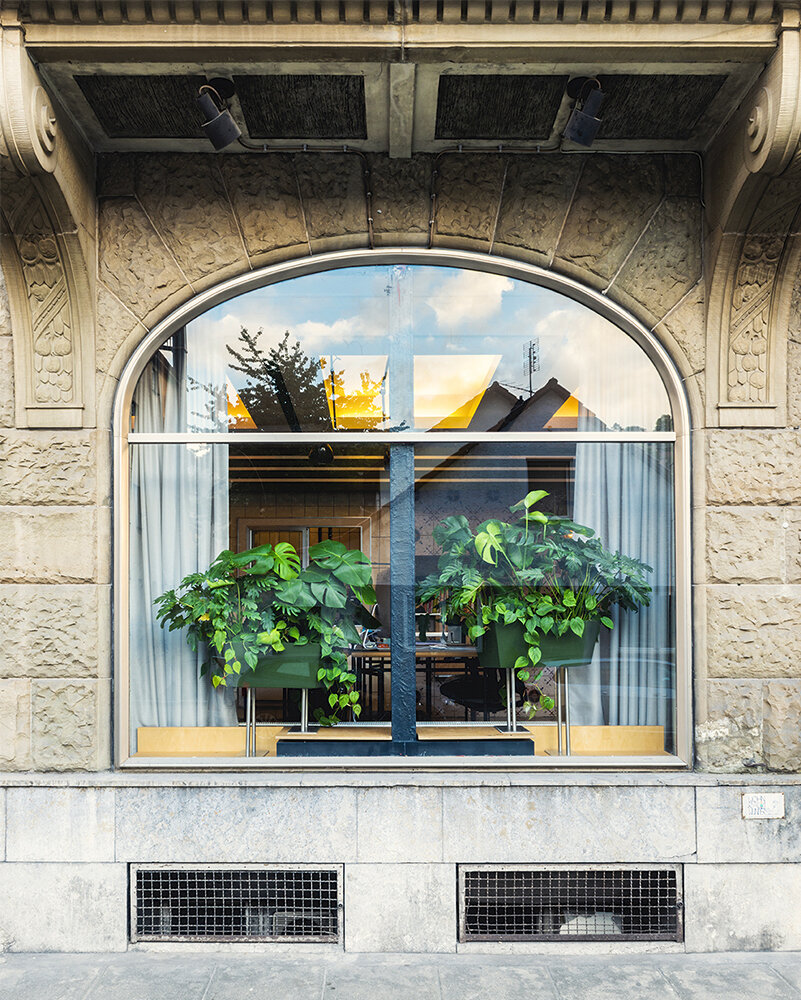 Fassade mit Pflanzenwolke