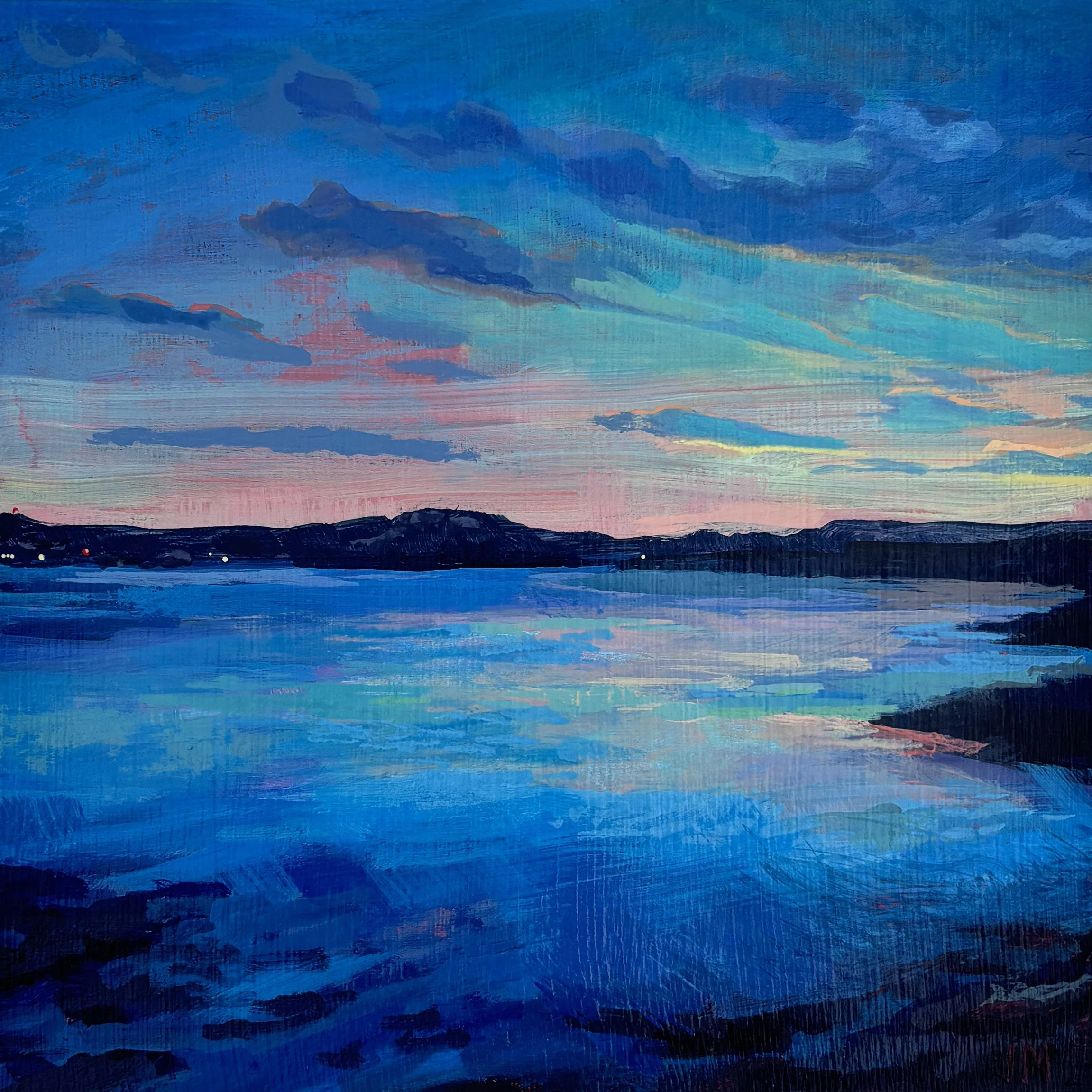 Back Cove Twilight.jpg