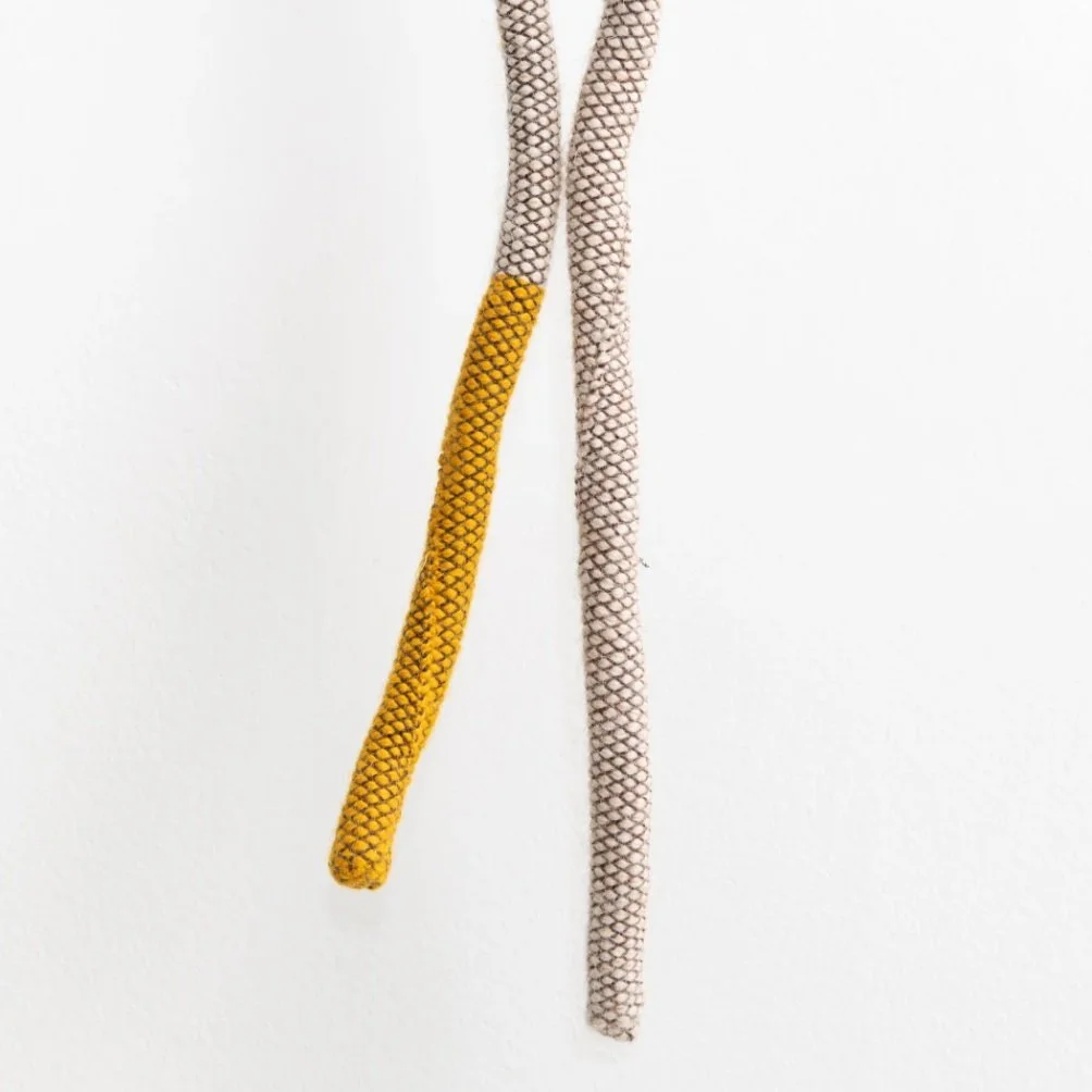 Tonico Lemos Auad, 2022