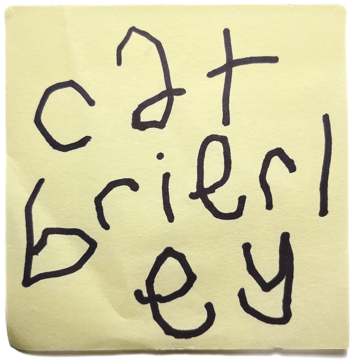 cat brierley