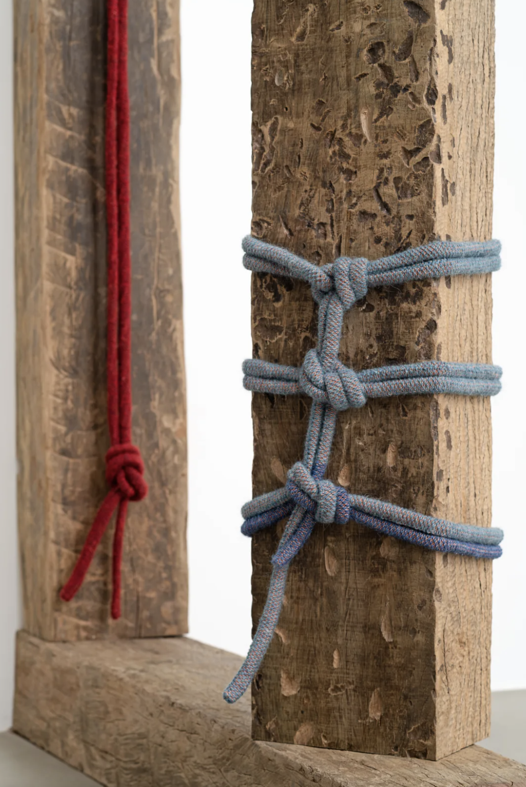 Tonico Lemos Auad, 2021