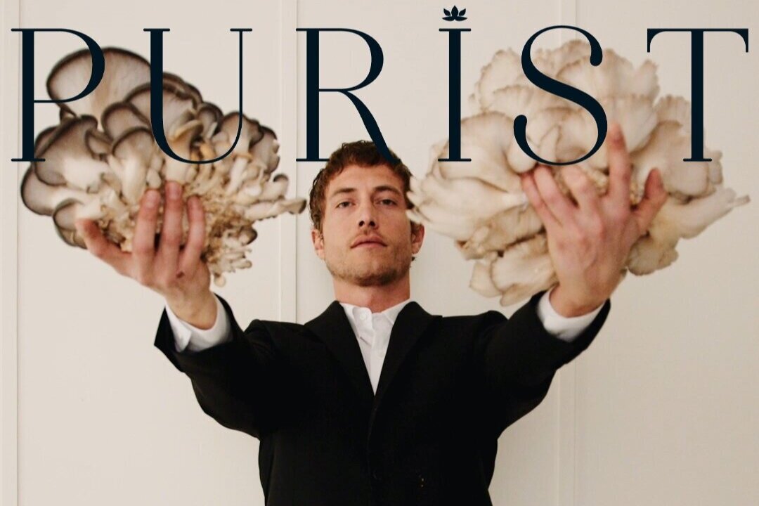 purist%2Bwebsite.jpg