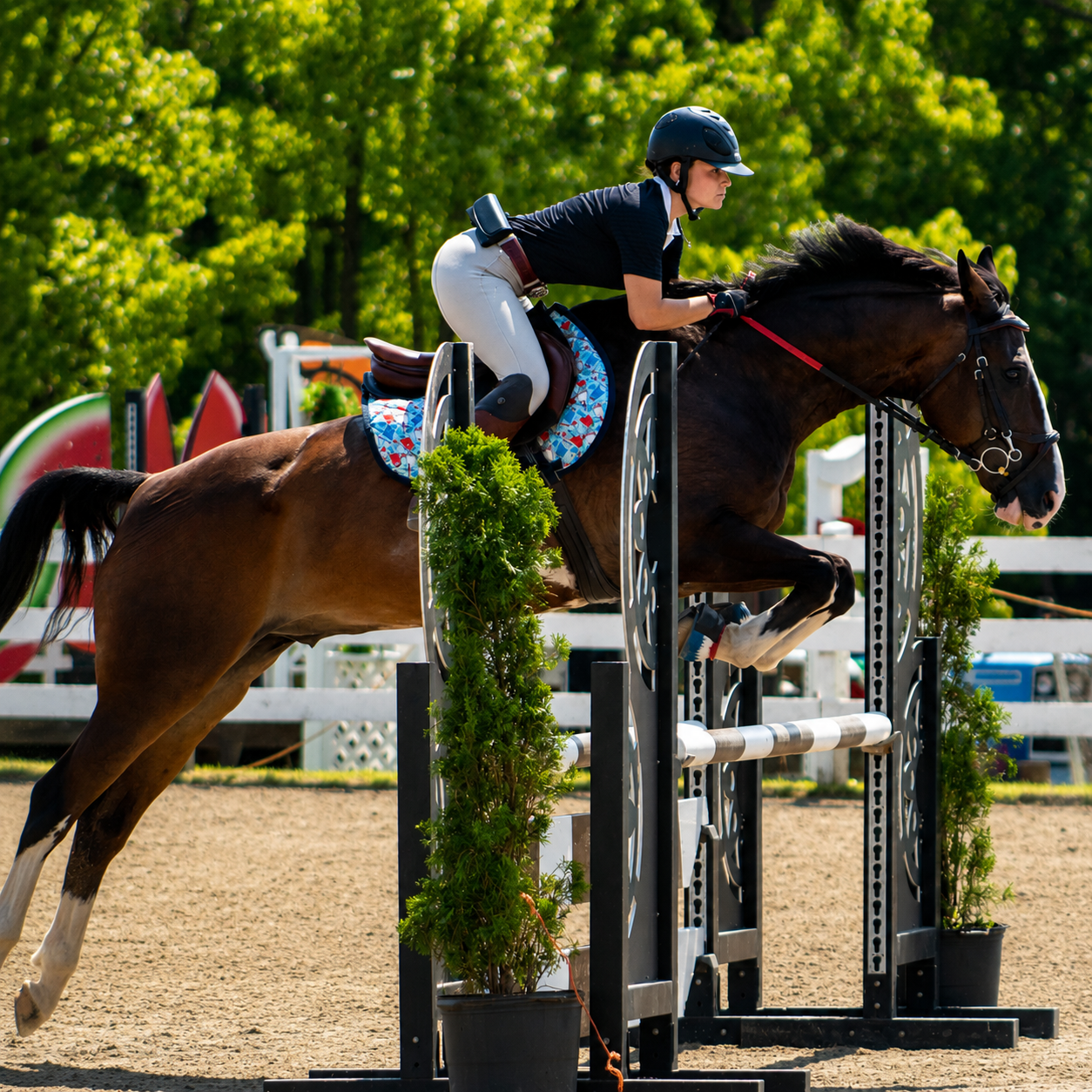 A female equestrian rider wearing a helmet, black shirt, and white riding pants, jumping a horse over an obstacle with green plants. The scene is set outdoors with trees and other showjumping equipment visible in the background.