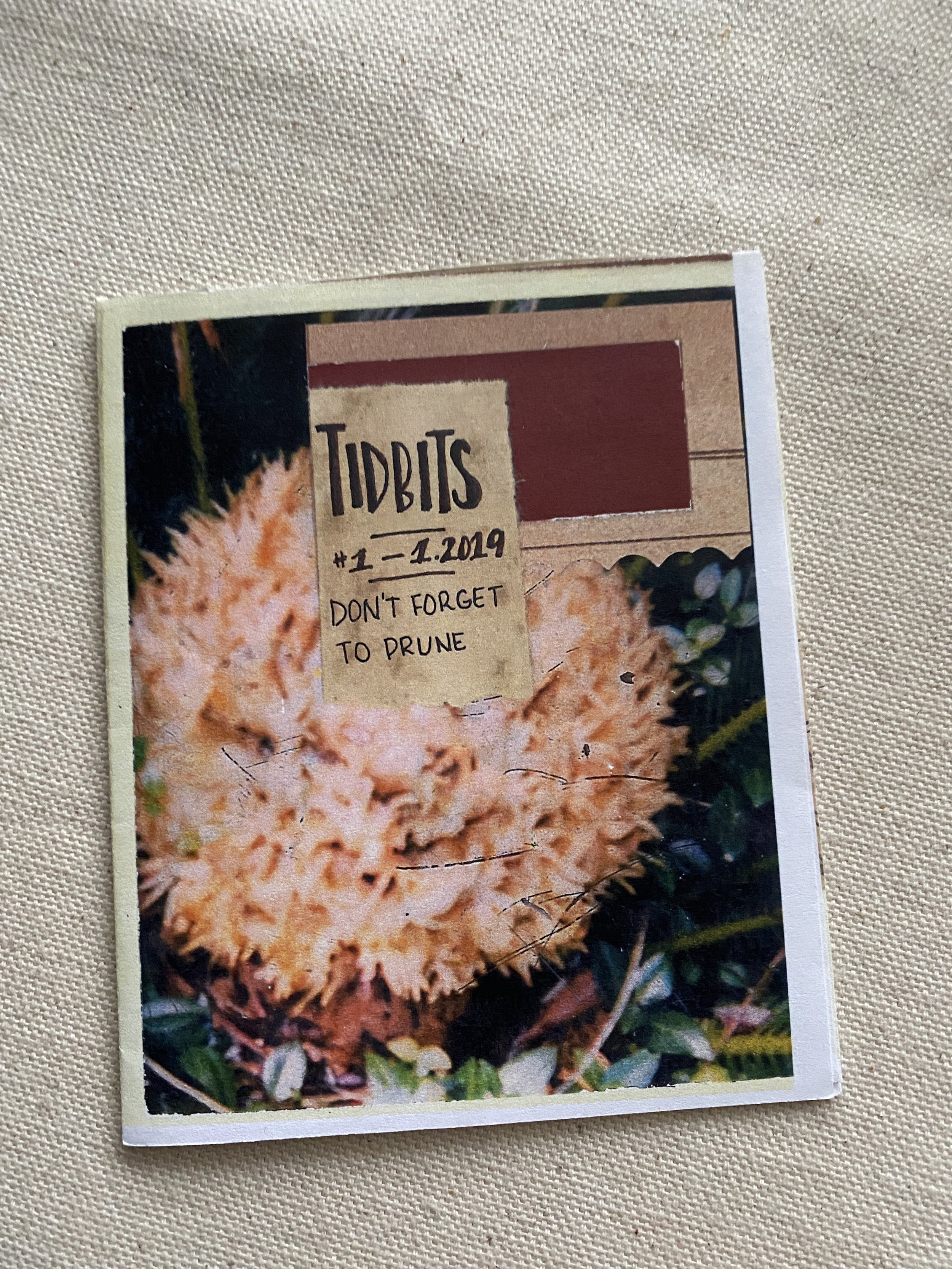 Zines - Don't Forget to Prune