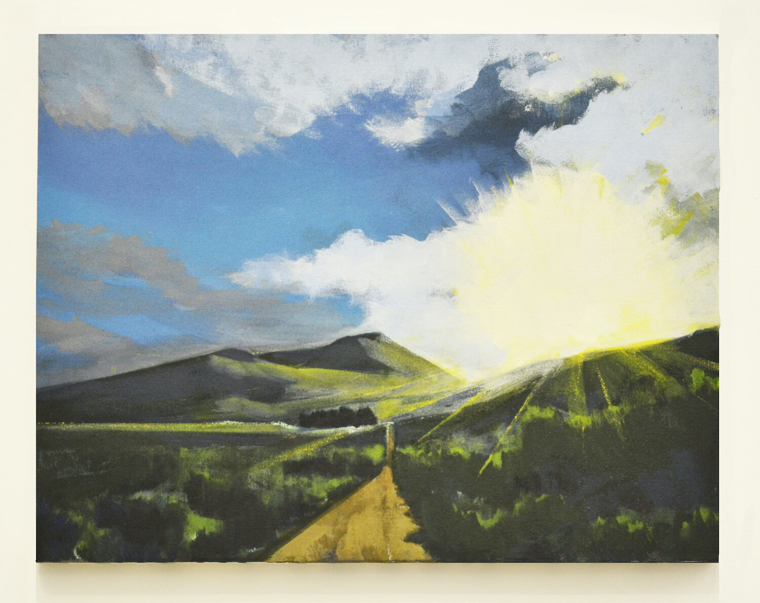 Raél Jero Salley, Creation II, 2013
