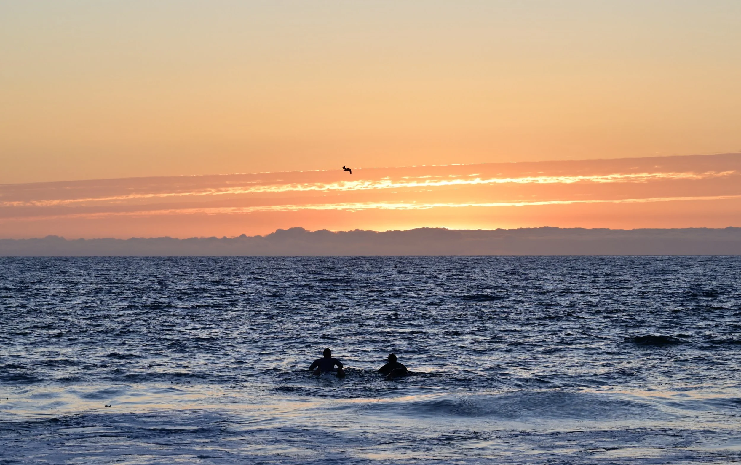      

 
   "You can't cross the sea merely by standing and staring at the water." - Rumi 
 




















  
  



     