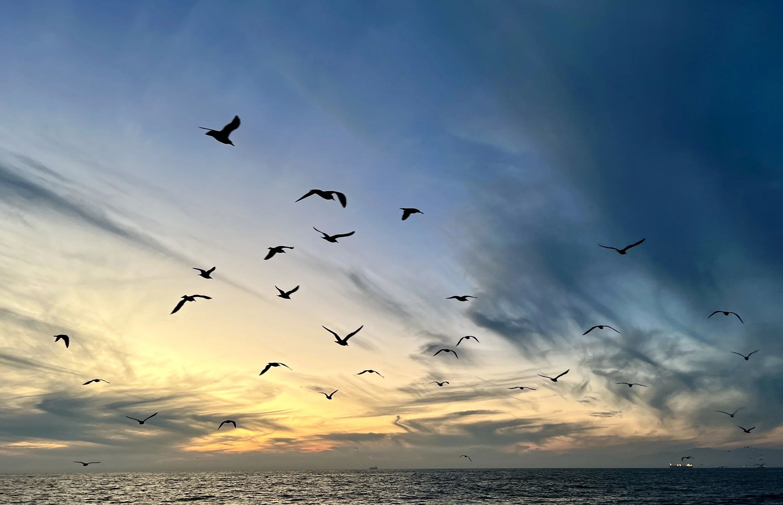      

 
   “Age is an issue of mind over matter. If you don’t mind, it doesn’t matter” - Mark Twain 
 




















  
  



     