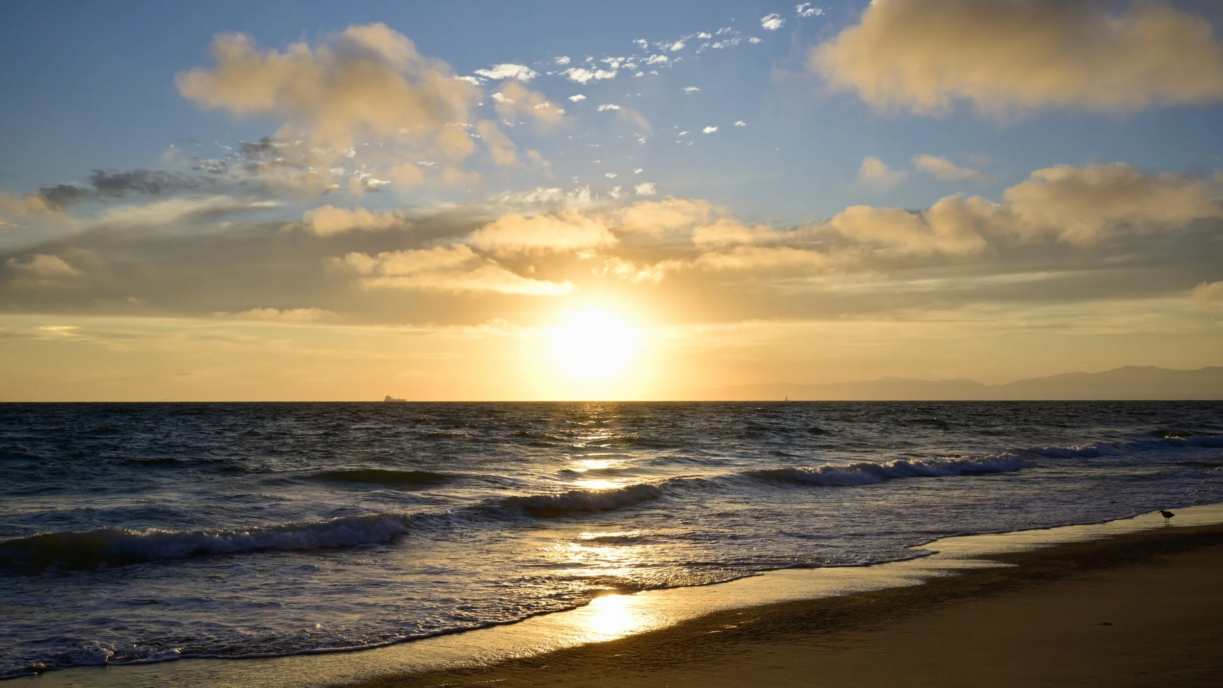      

 
   “In the end, it’s not the years in your life that count. It’s the life in your years” - Abraham Lincoln 
 




















  
  



     