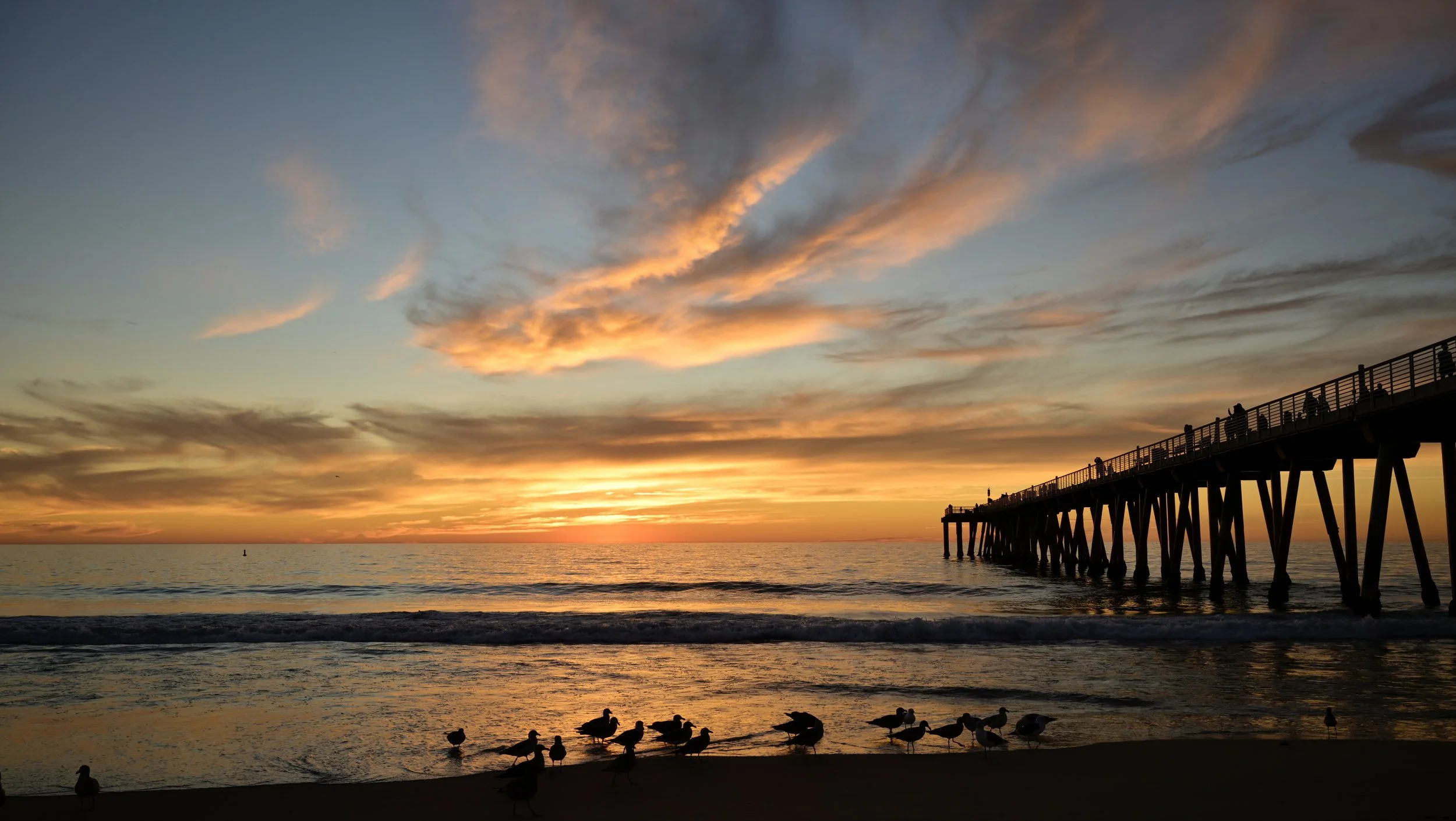      

 
   Nature is my medicine 
 




















  
  



     