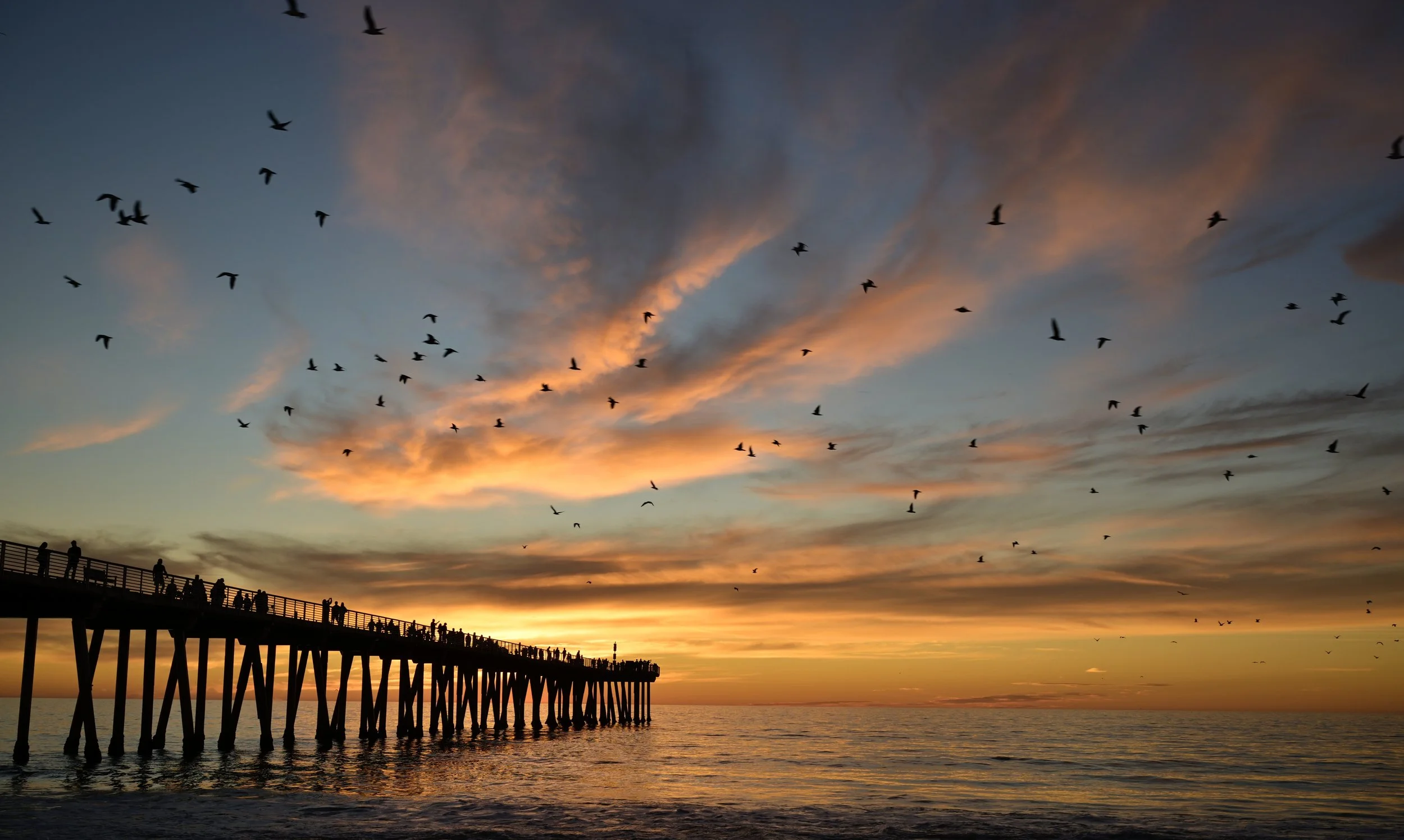      

 
   “Believe you can and you’re halfway there”  
 




















  
  



     