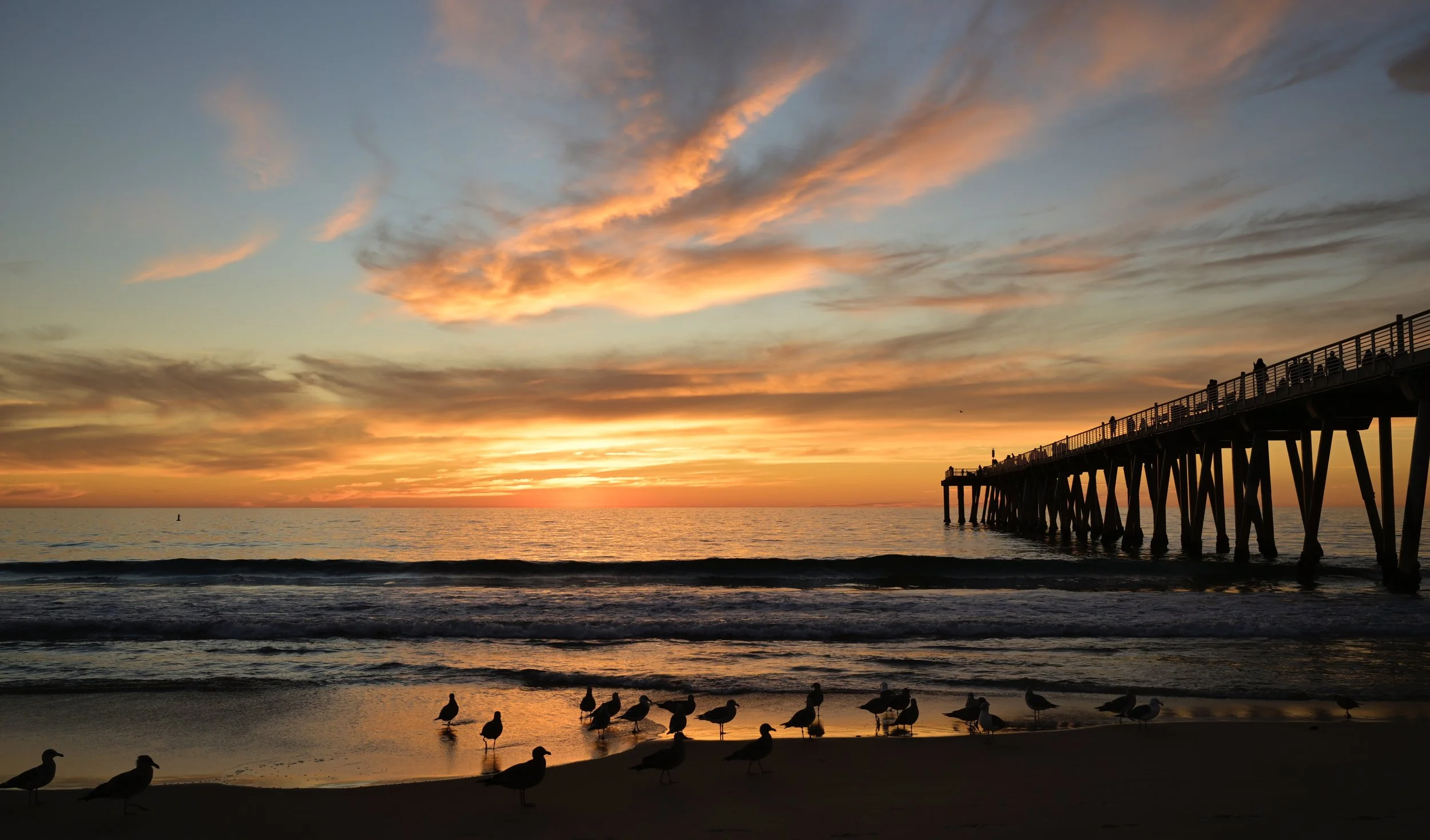      

 
   “Difficult roads can lead to beautiful destinations” 
 




















  
  



     