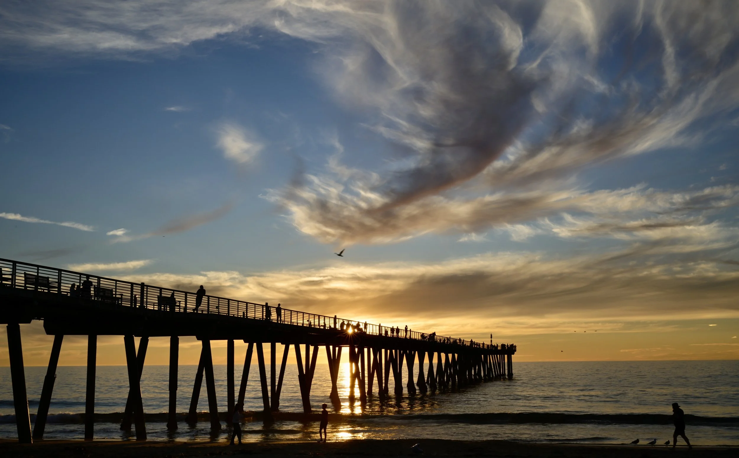      

 
   Beauty is all around us 
 




















  
  



     