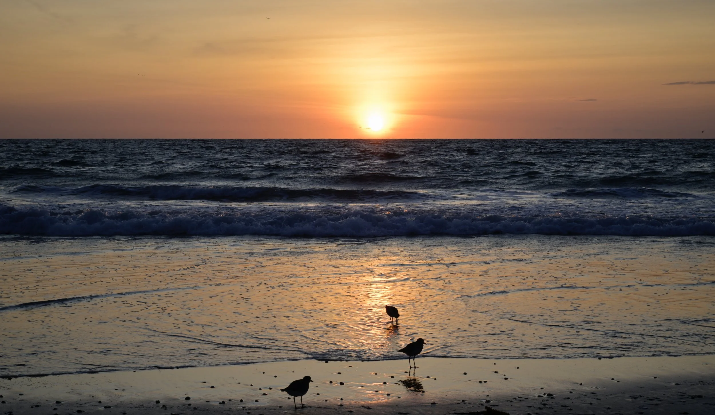      

 
   Beauty is all around us 
 




















  
  



     