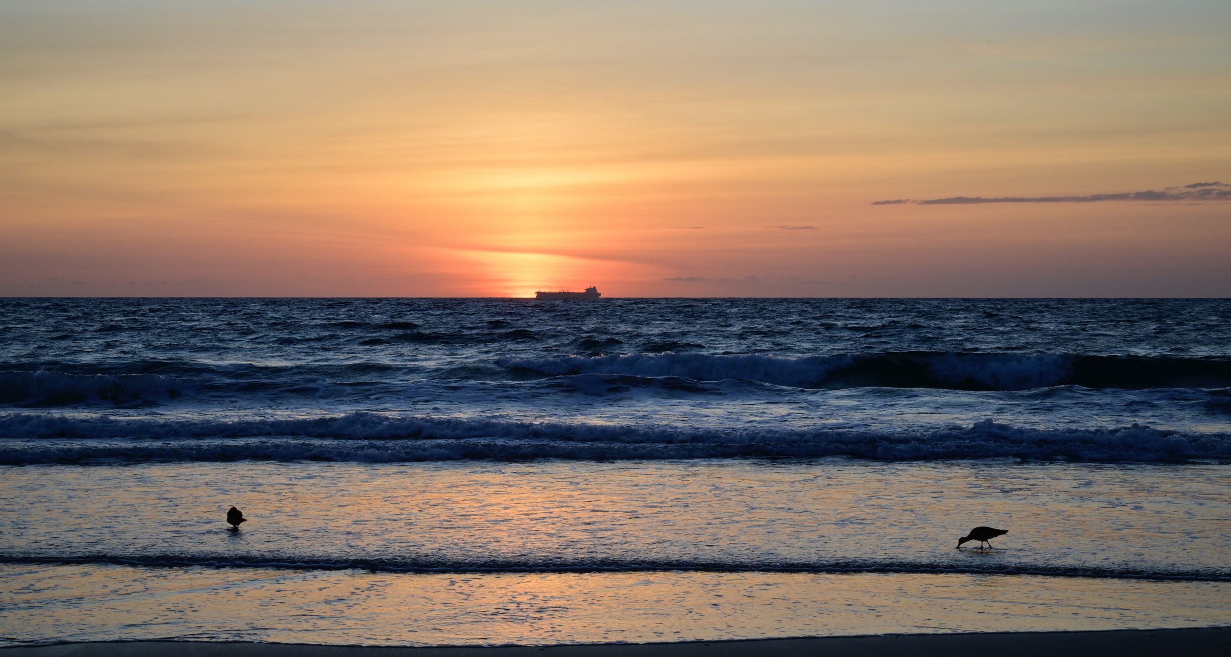      

 
   “The best view comes after the hardest climb” 
 




















  
  



     