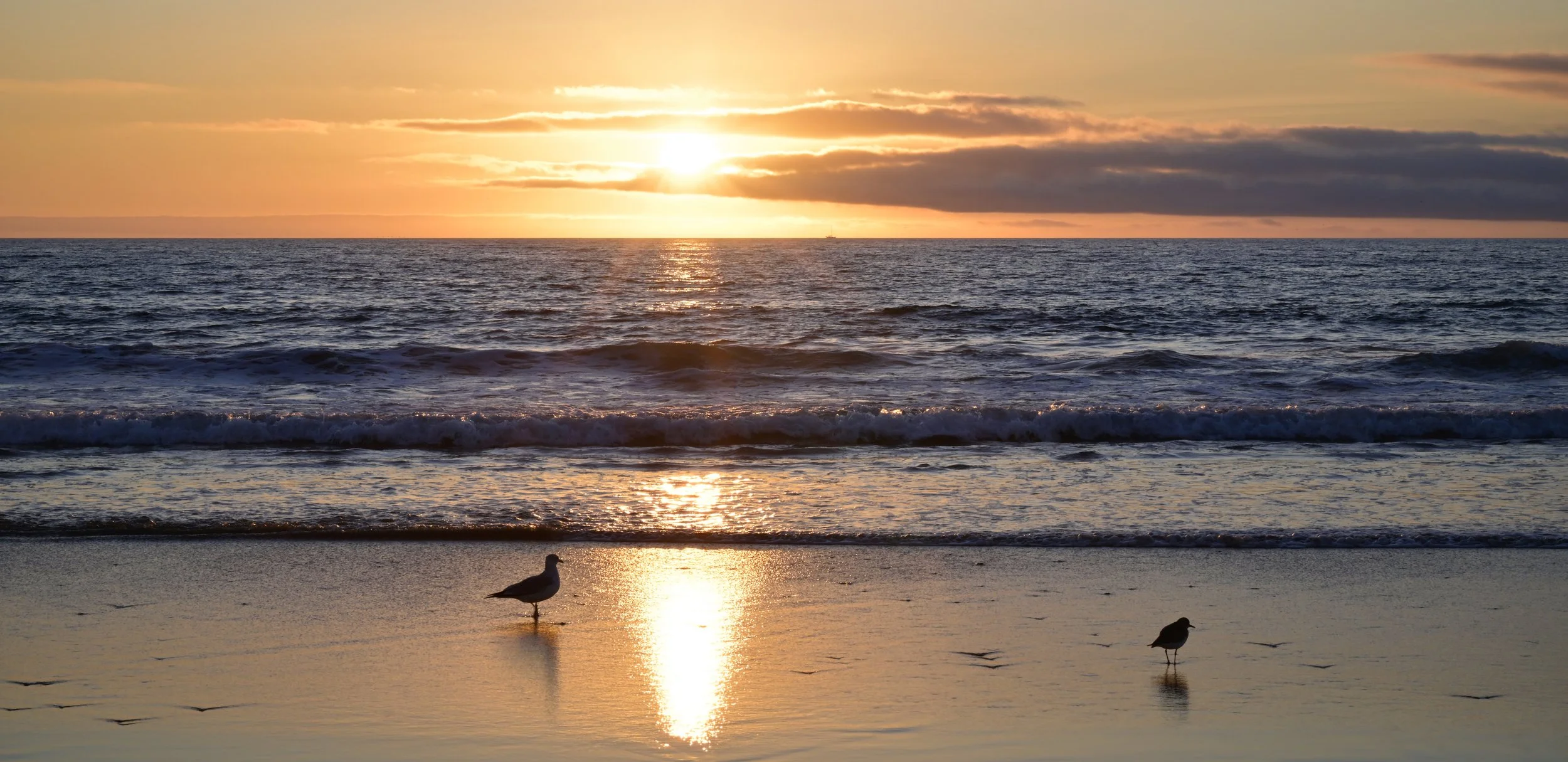      

 
   “Let the improvement of yourself keep you so busy that you have no time to criticize others” 
 




















  
  



     