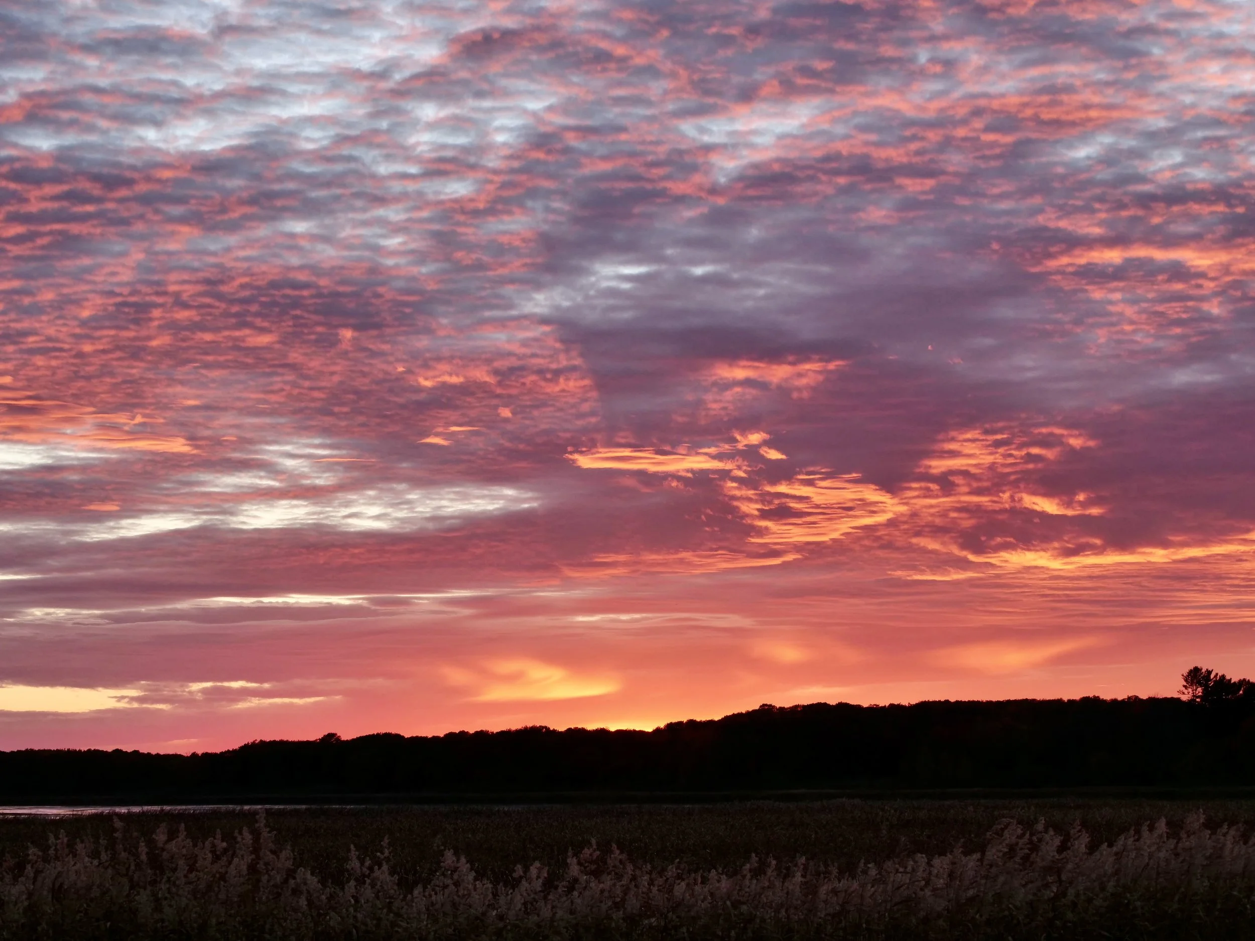      

 
   “Time is the only currency you spend without knowing the balance. Use it wisely.” 
 




















  
  



     