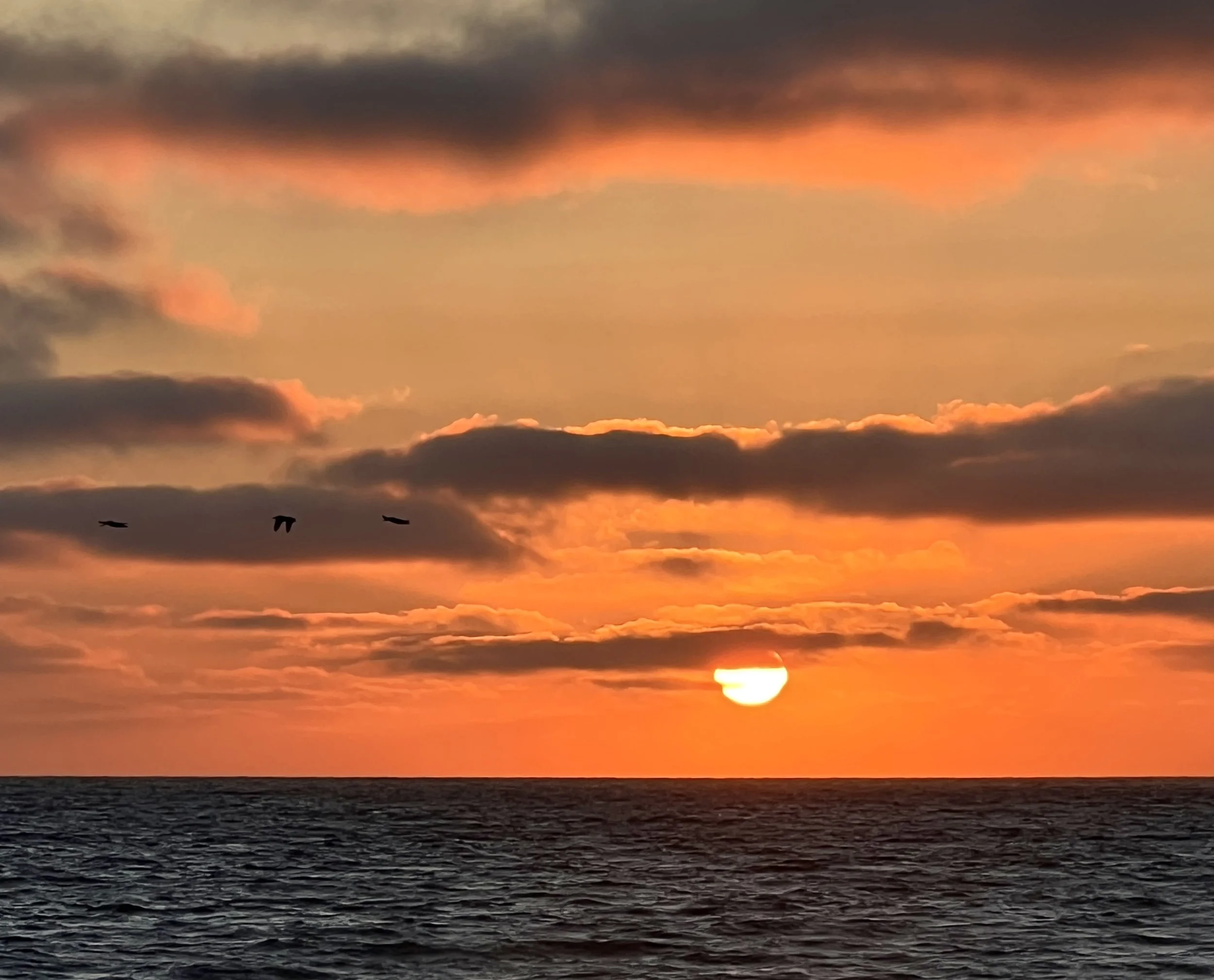      

 
   “Everything you want is on the other side of fear” 
 




















  
  



     