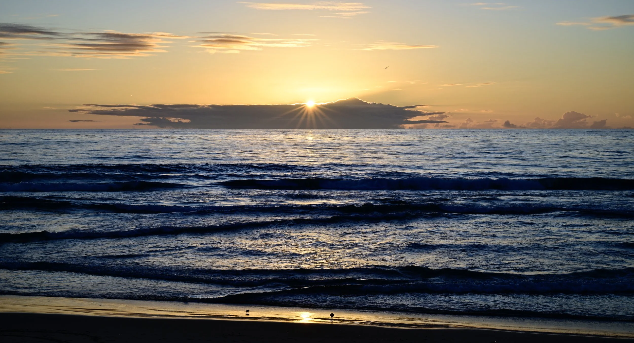      

 
   “The answer is always ‘no’ until you ask” 
 




















  
  



     