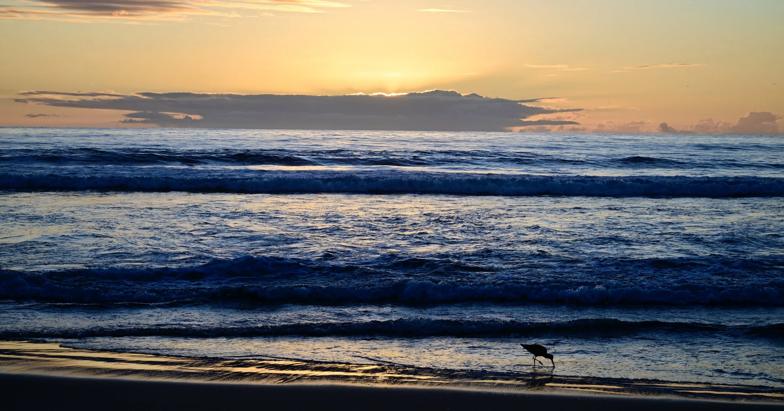      

 
   “The meaning of life is to find your gift. The purpose of life is to give it away” - Pable Picasso 
 




















  
  



     