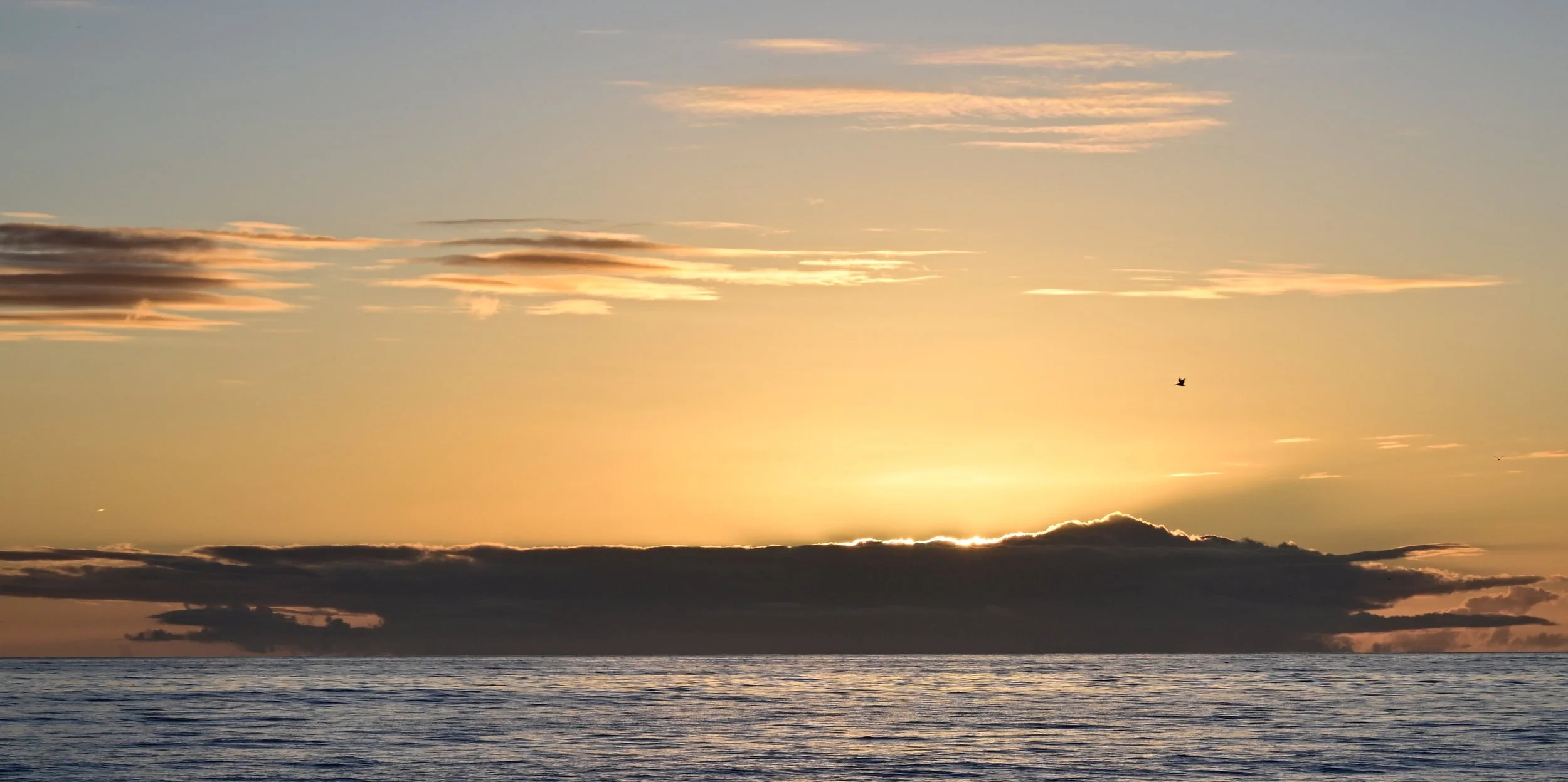      

 
   “Most folks are as happy as they make up their minds to be” 
 




















  
  



     