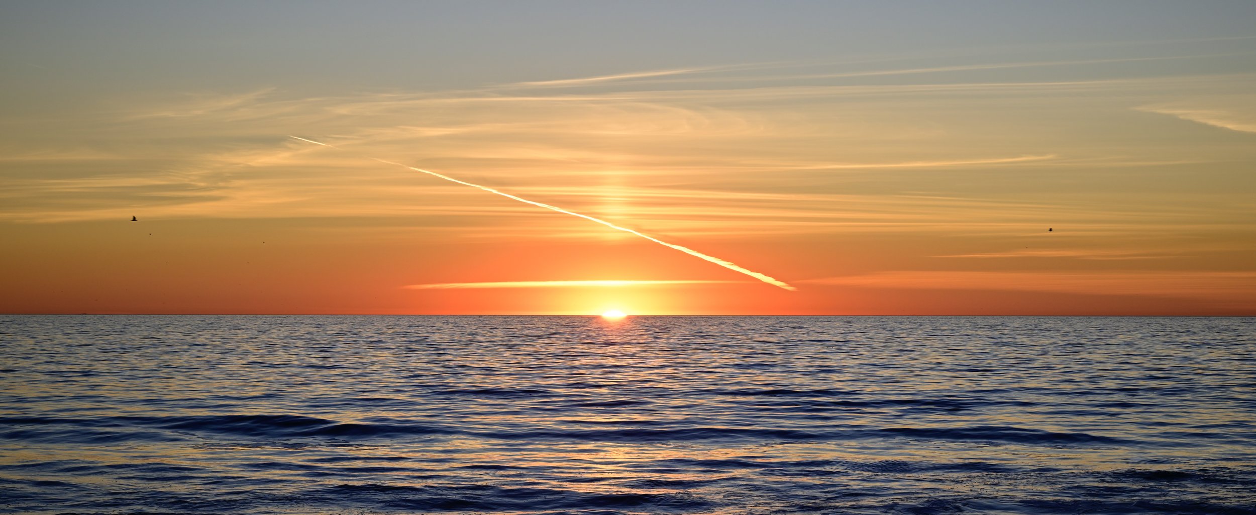      

 
   Nature’s amazing colors are all around us 
 




















  
  



     