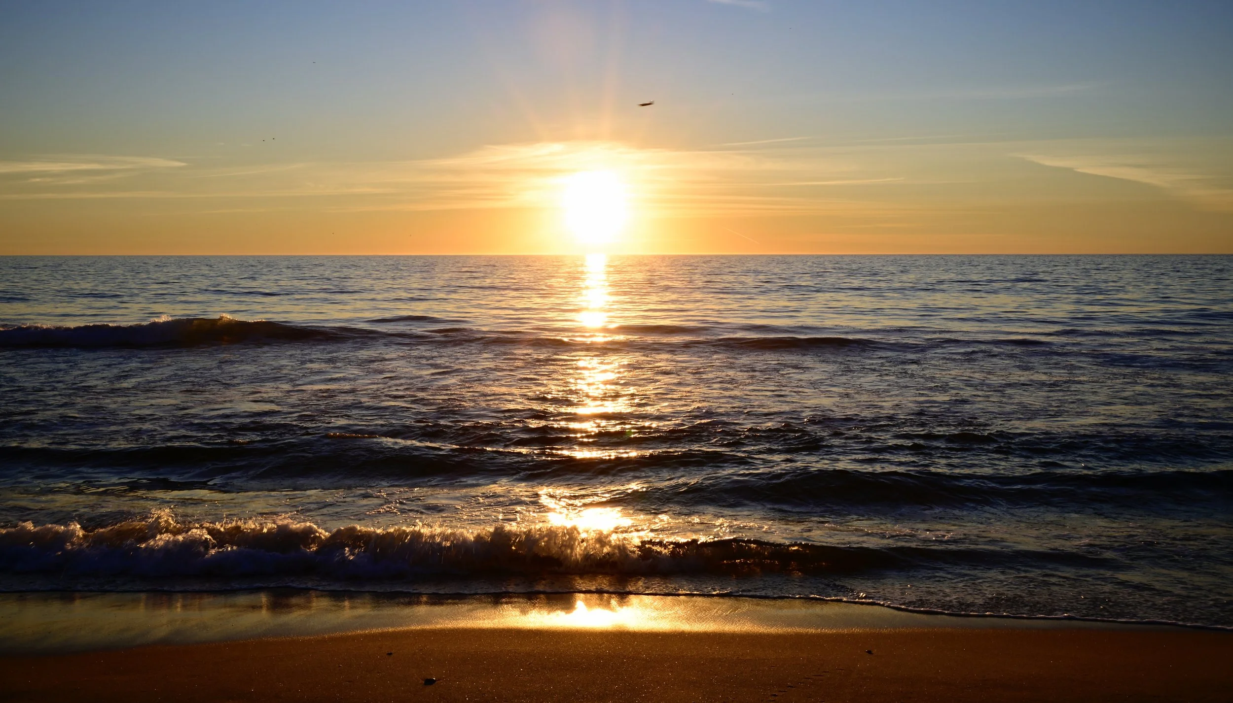      

 
   “Let’s stop looking for happiness in the same place we lost it“ 
 




















  
  



     