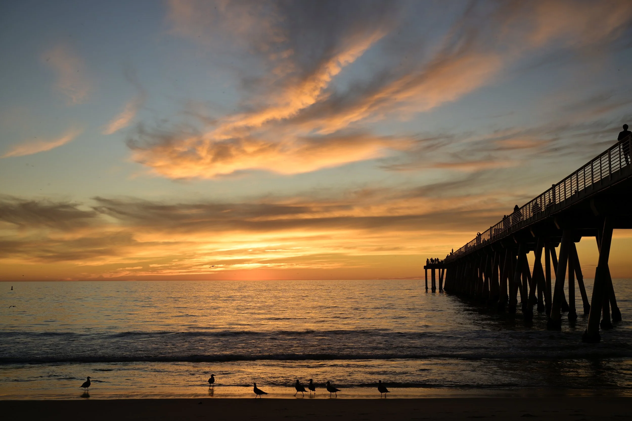      

 
   Beauty is all around us 
 




















  
  



     