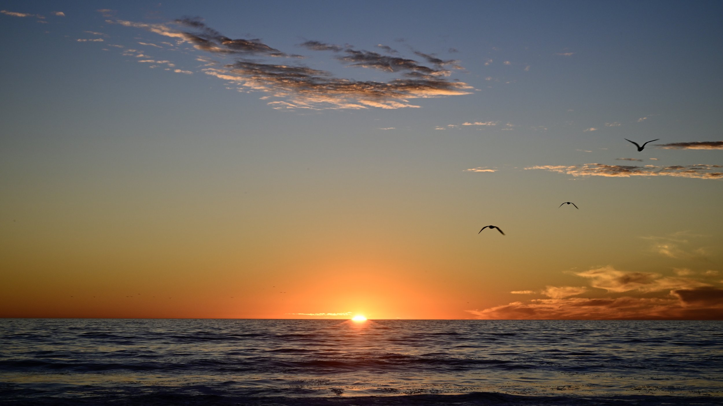      

 
   “Imagination is more important than knowledge” 
 




















  
  



     