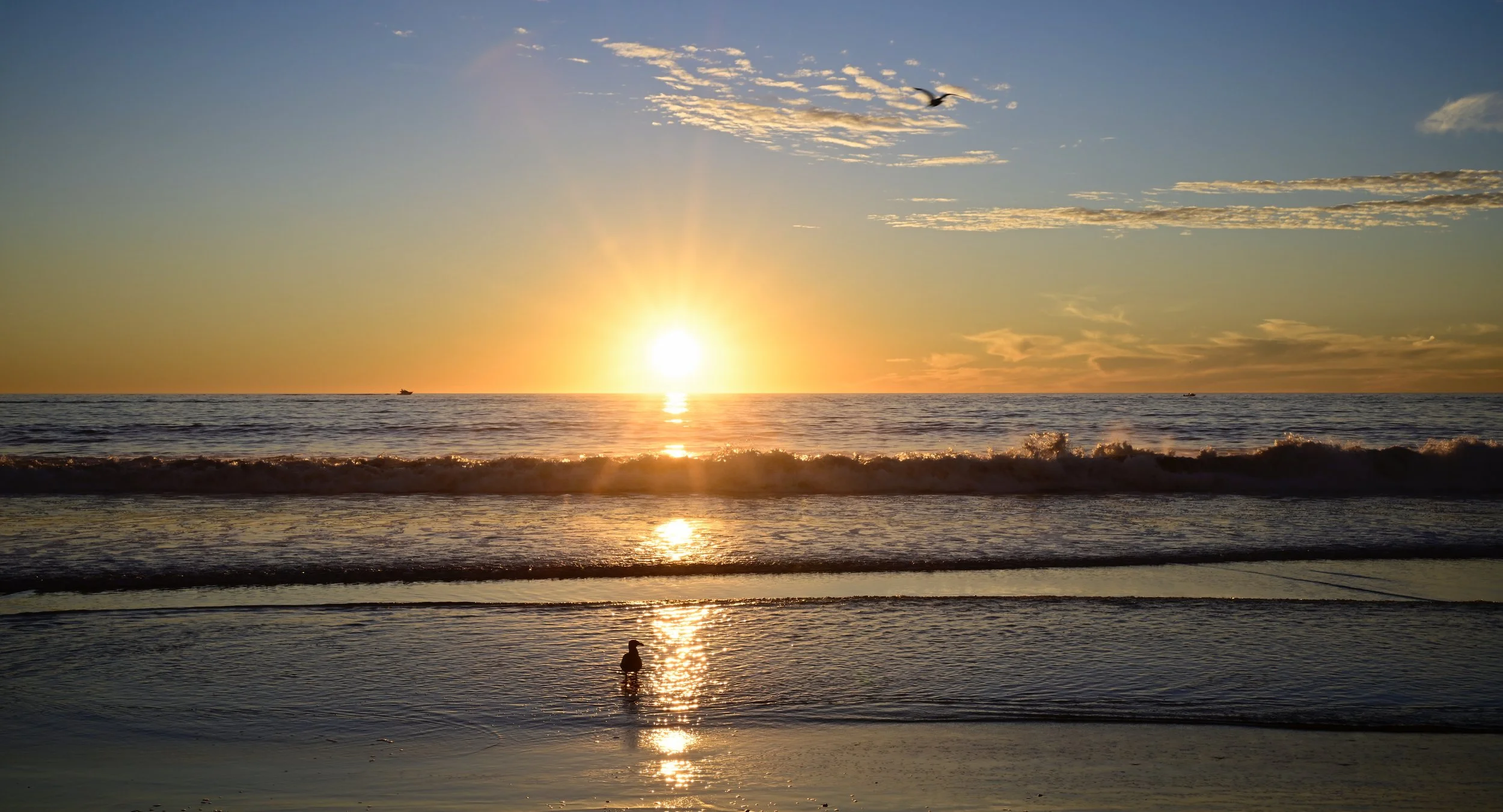      

 
   Nature will bring you peace 
 




















  
  



     