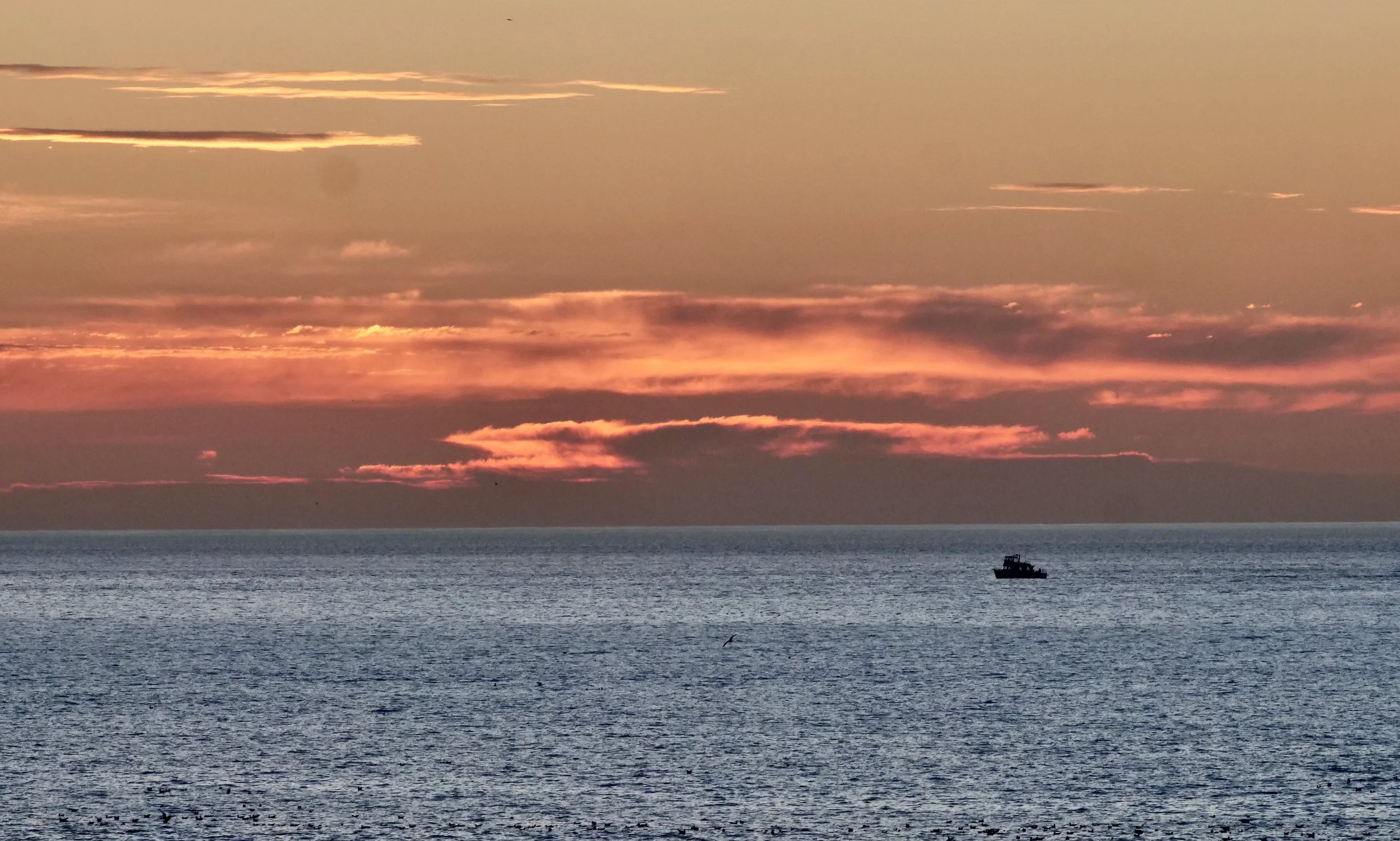      

 
   “Life is a game. We cannot undo a move, but we can make the next one better” 
 




















  
  



     