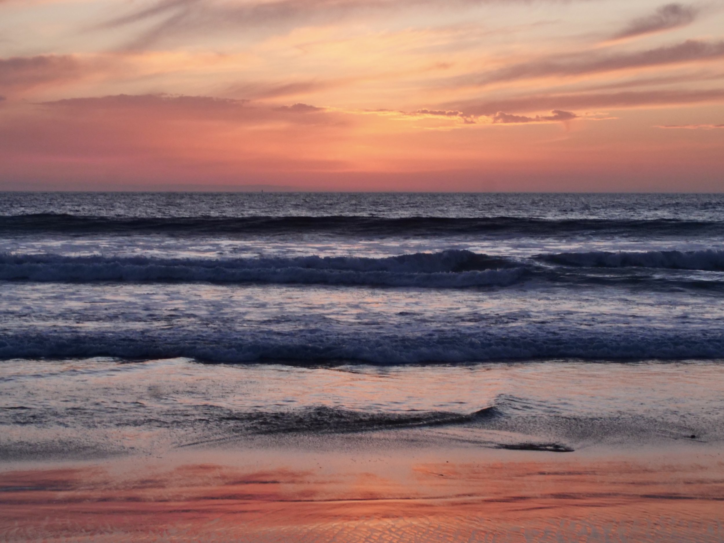      

 
   “A wise man said: don’t seek revenge. The rotten fruits will fall by themselves” 
 




















  
  



     