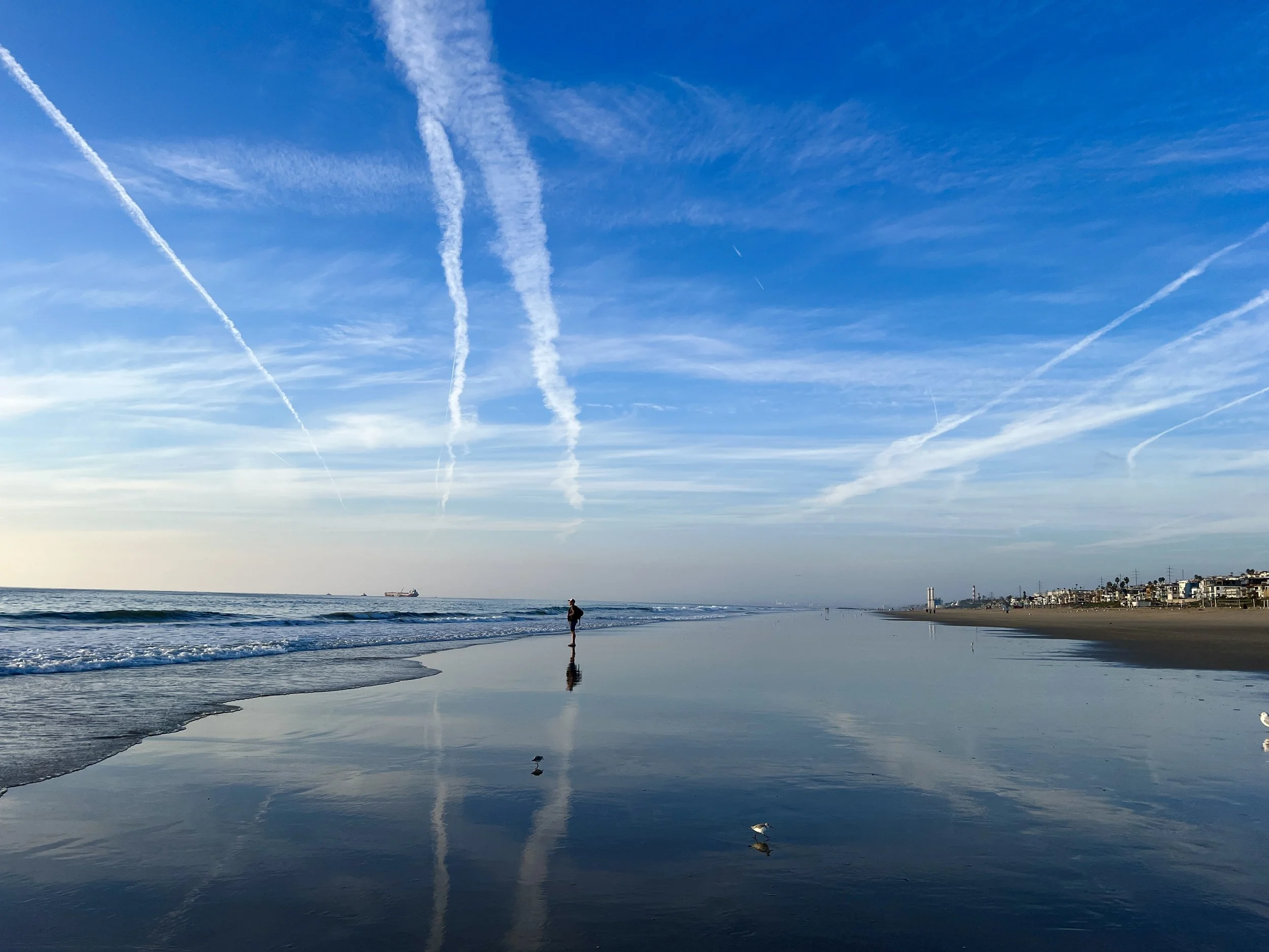       
  
    “Being alone is better than being an option in someone’s life”  


  
 #block-e3b98bc77dcca486cd99 {
    
    --tweak-text-block-radius: 0px 0px 0px 0px;
  
    --tweak-text-block-radius: unset;
    --stroke-style: none;--stroke-thickne