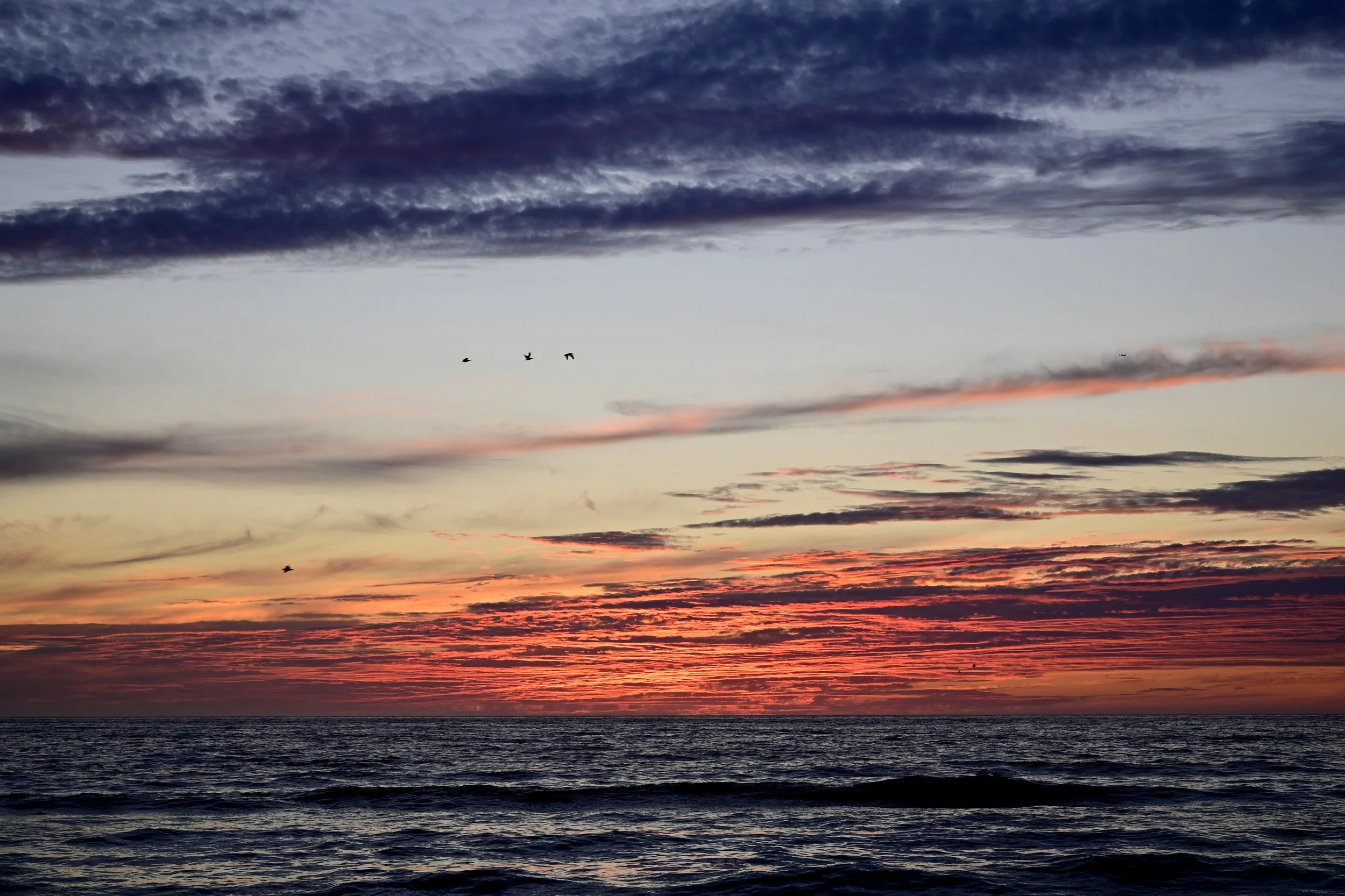       
  
    “What you seek is seeking you”- Rumi  


  
 #block-fe0d22f14f96dcc6c1a9 {
    
    --tweak-text-block-radius: 0px 0px 0px 0px;
  
    --tweak-text-block-radius: unset;
    --stroke-style: none;--stroke-thickness: 6px;
    
      
     