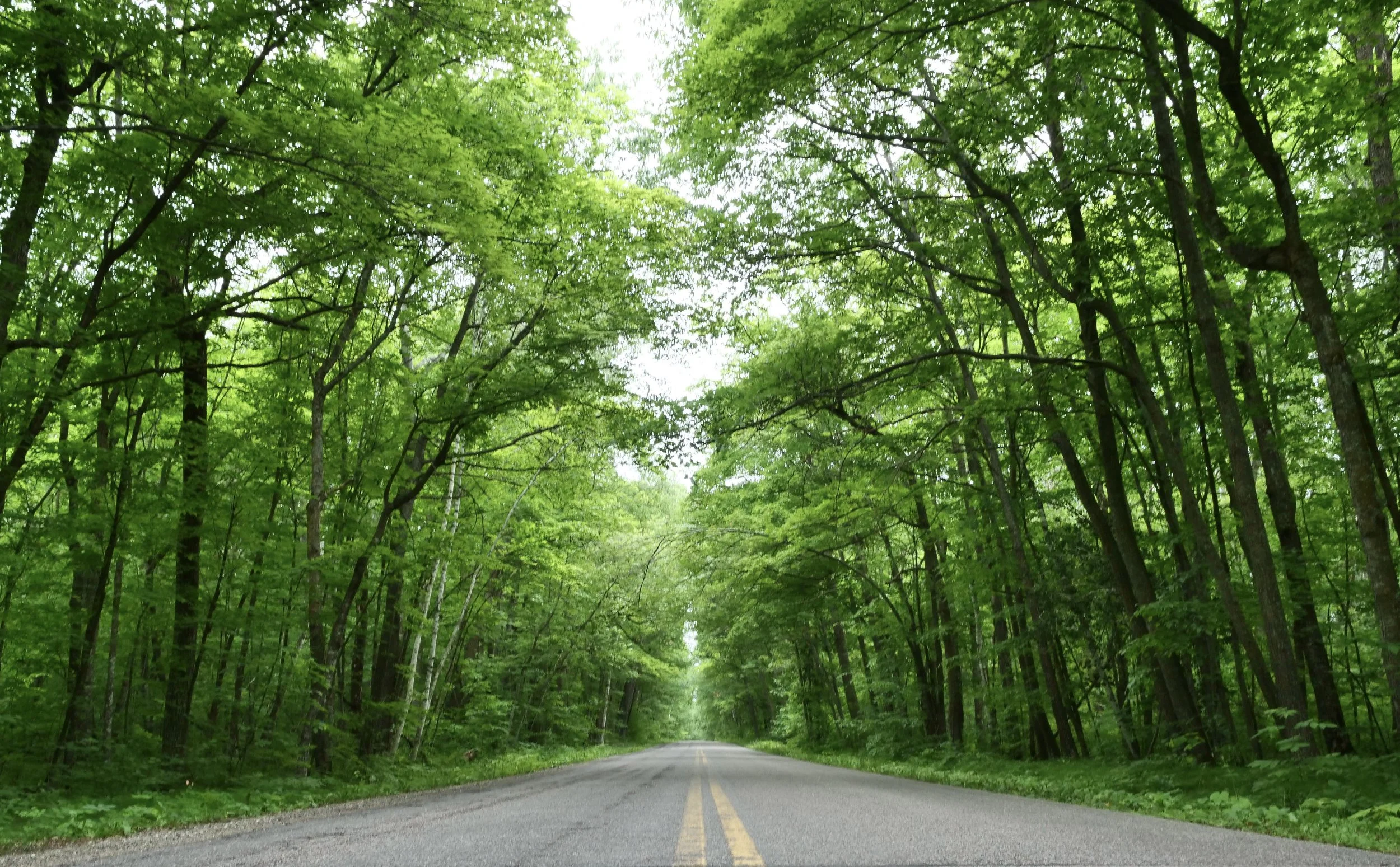       
  
    “If it disturbs your peace, step back”  


  
 #block-d2bda16aa609f4aa5a8f {
    
    --tweak-text-block-radius: 0px 0px 0px 0px;
  
    --tweak-text-block-radius: unset;
    --stroke-style: none;--stroke-thickness: 6px;
    
      
   