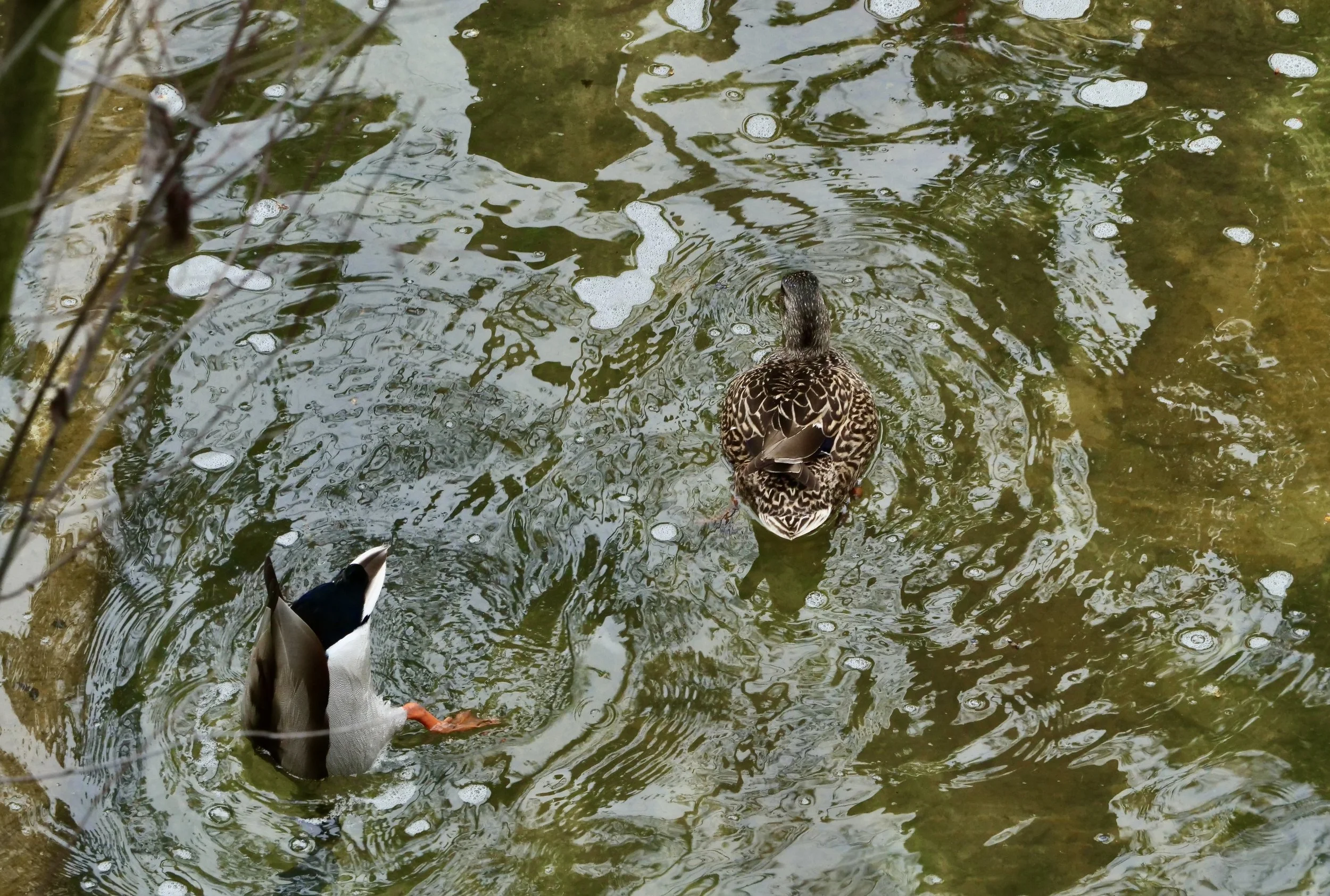       
  
    “Never make a decision when you are sad”  


  
 #block-fbbddcbf76e483ac03c6 {
    
    
    
    
  }

  #block-fbbddcbf76e483ac03c6 .sqs-html-content {
    
    }
    
  #block-fbbddcbf76e483ac03c6 {
    mix-blend-mode: var(--tweak-te