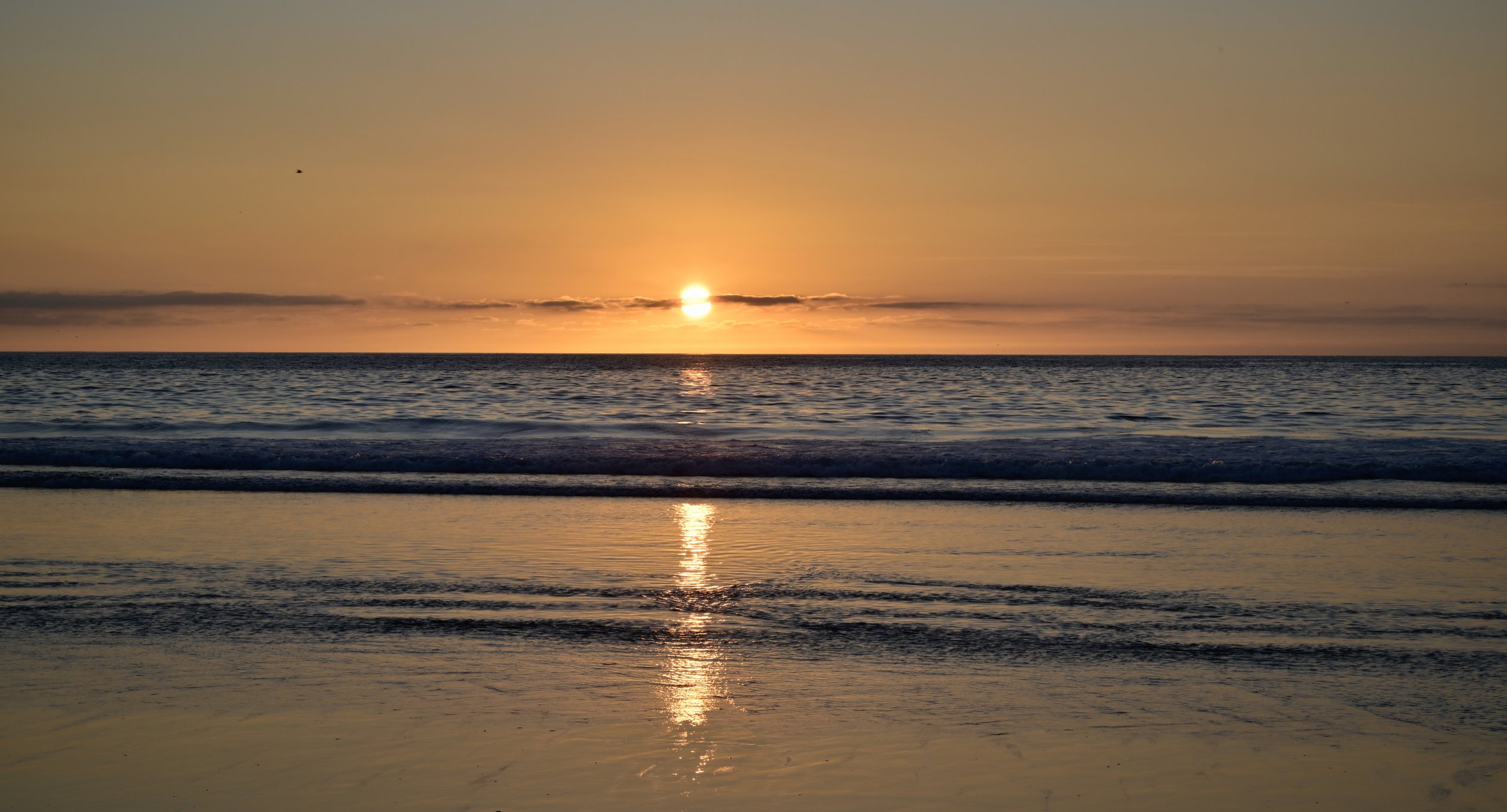       
  
    "Even the darkest night will end, and the sun will rise." — Victor Hugo  


  
 #block-777858ce131f94bddbd1 {
    
    
    
  }

  #block-777858ce131f94bddbd1 .sqs-html-content {
    
    }

  #block-777858ce131f94bddbd1 {
      mix-bl