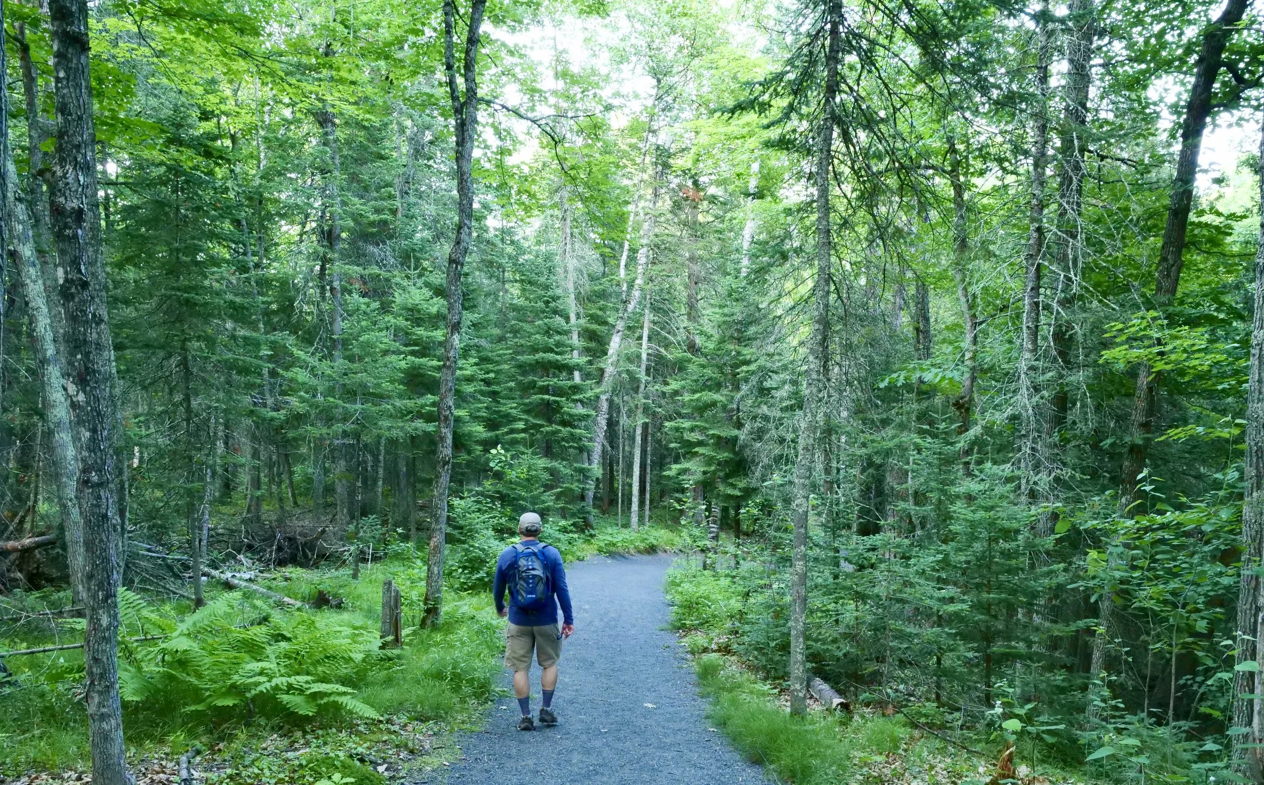       
  
    Keep walking and a path will open up for you  


  
 #block-8ed741370f708cb824c5 {
    
    
    
  }

  #block-8ed741370f708cb824c5 .sqs-html-content {
    
    }

  #block-8ed741370f708cb824c5 {
      mix-blend-mode: var(--tweak-text-