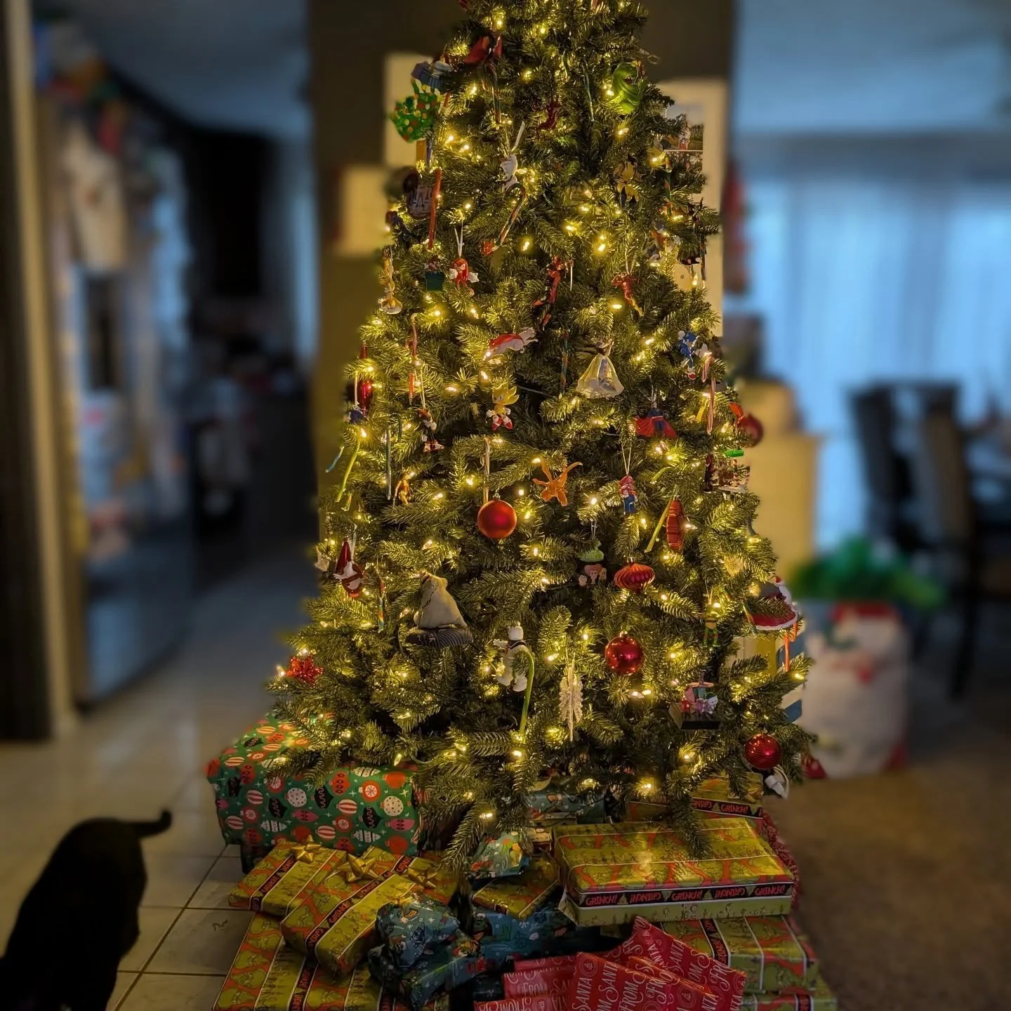 Merry Christmas from my family to yours. Have a safe and happy holiday.🎁🎄🎅🏽🦌💚❤️