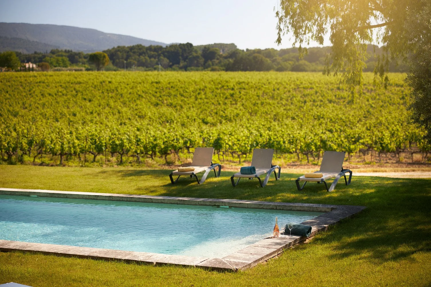Domaine de luxe dans le Luberon au coeur de la Provence  piscine