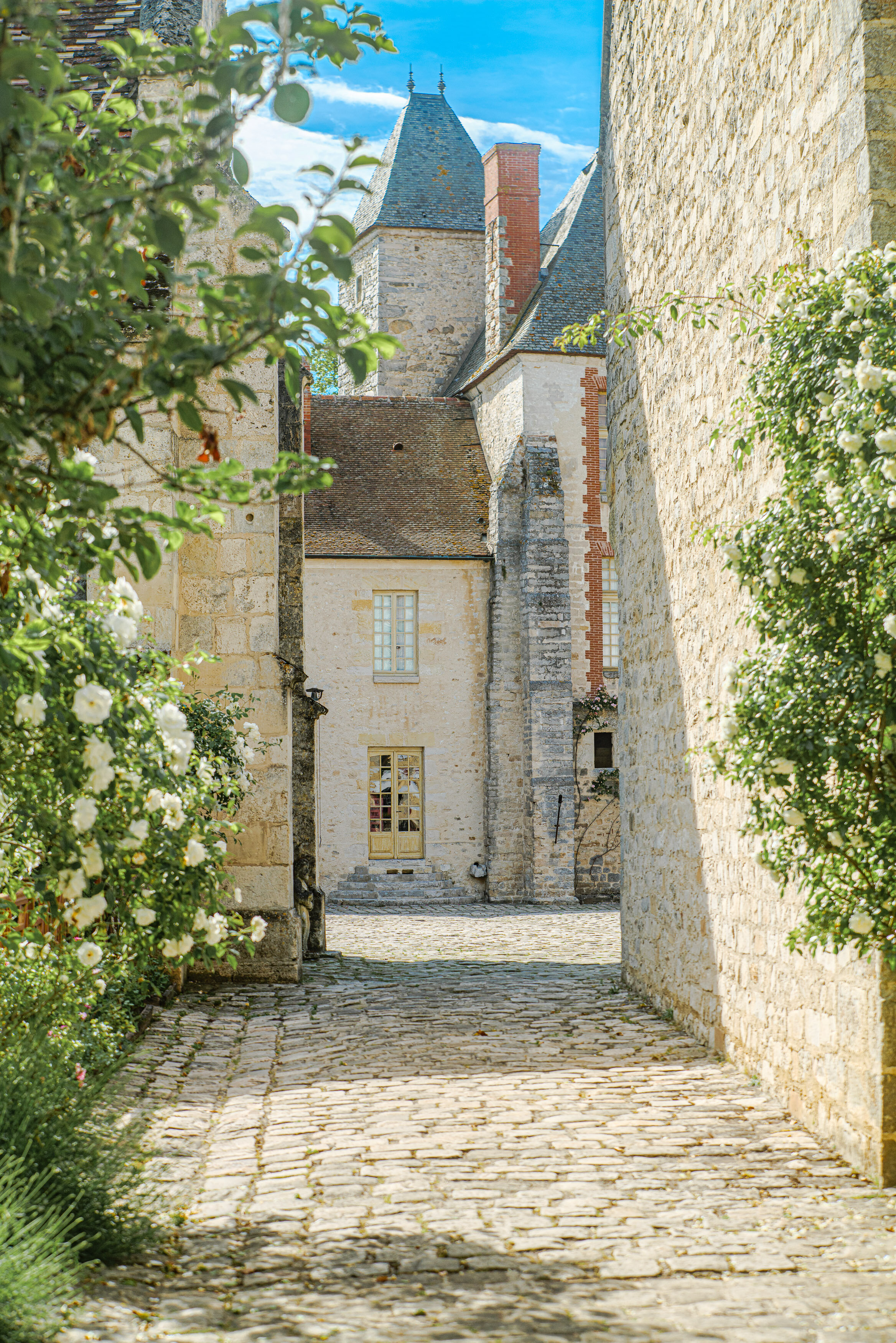 Exceptional chateau, near Paris, in the heart of a Provencal park 