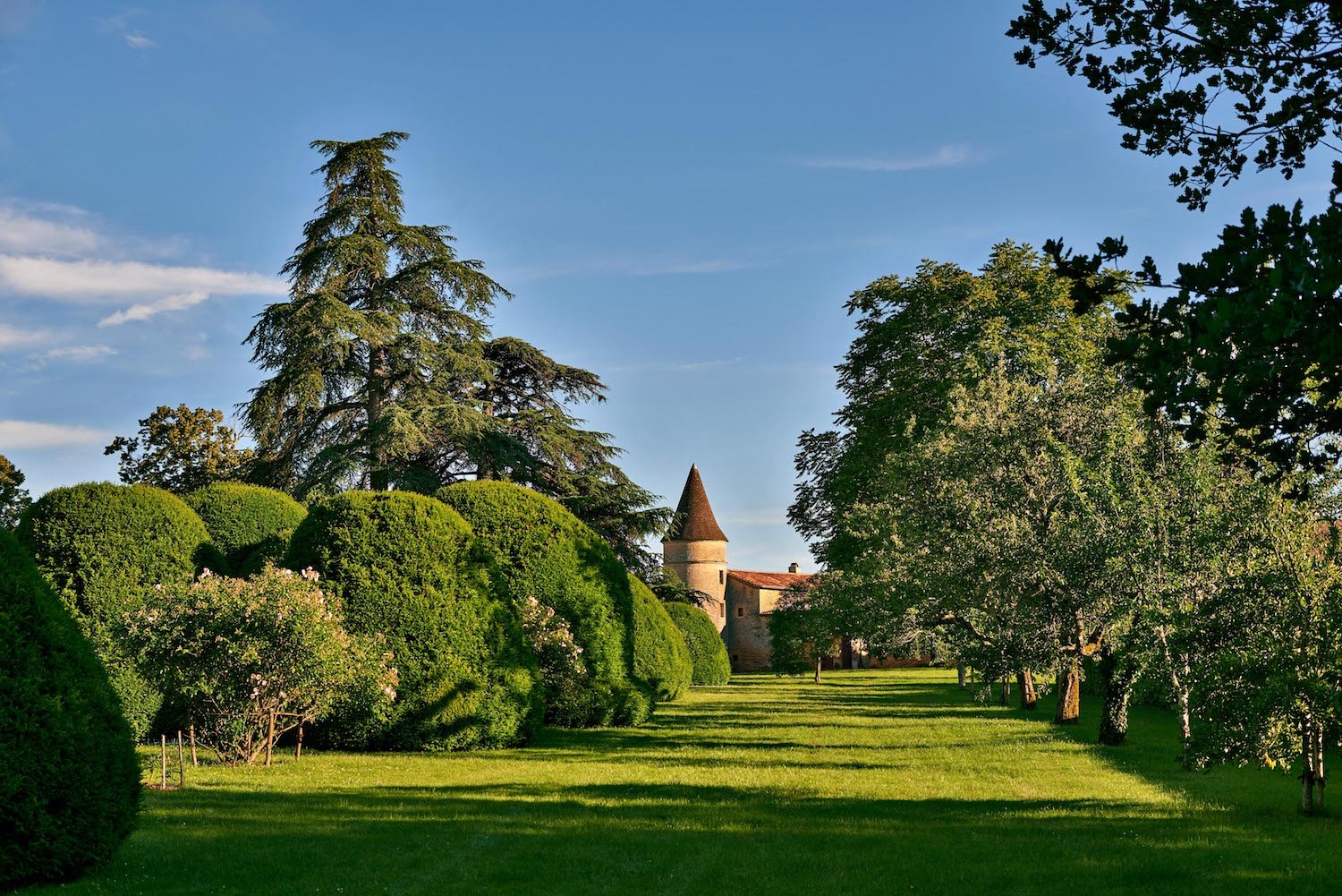 Exceptional chateau in the Dordogne in the middle of a forest park with swimming pool